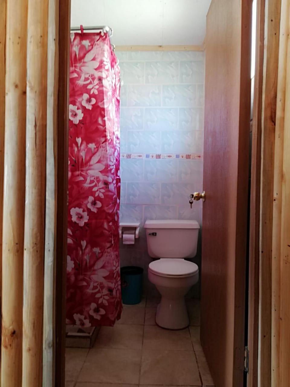 One-Bedroom House photo 2