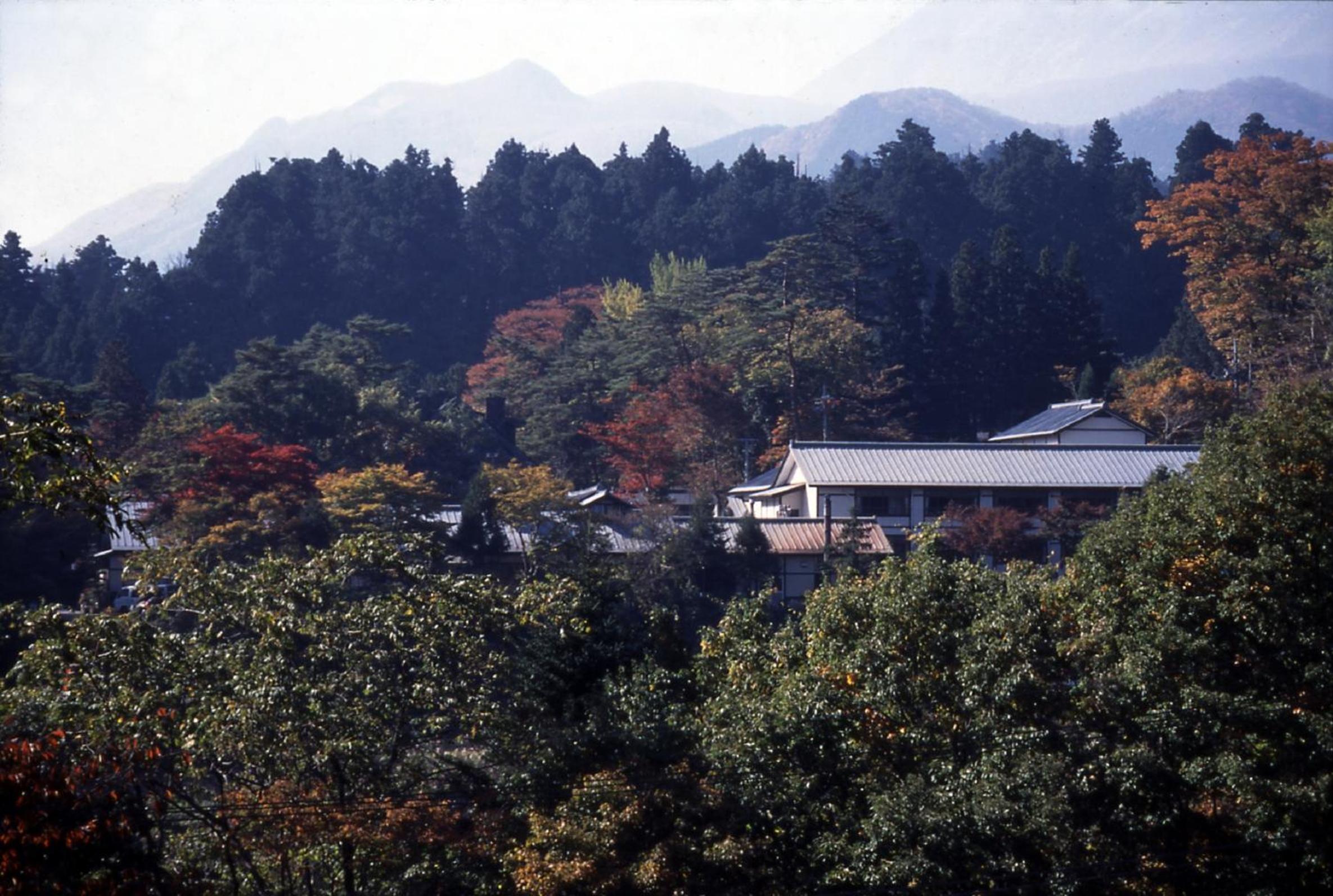 Japanese-Style Room Renovated - Non-Smoking photo 3