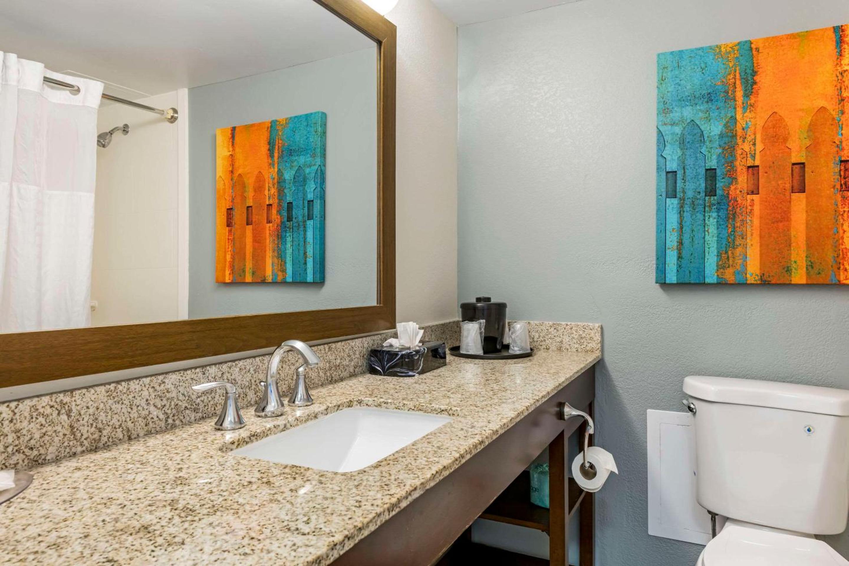 Double Efficiency Suite - Non-Smoking/Accessible - Photo 1