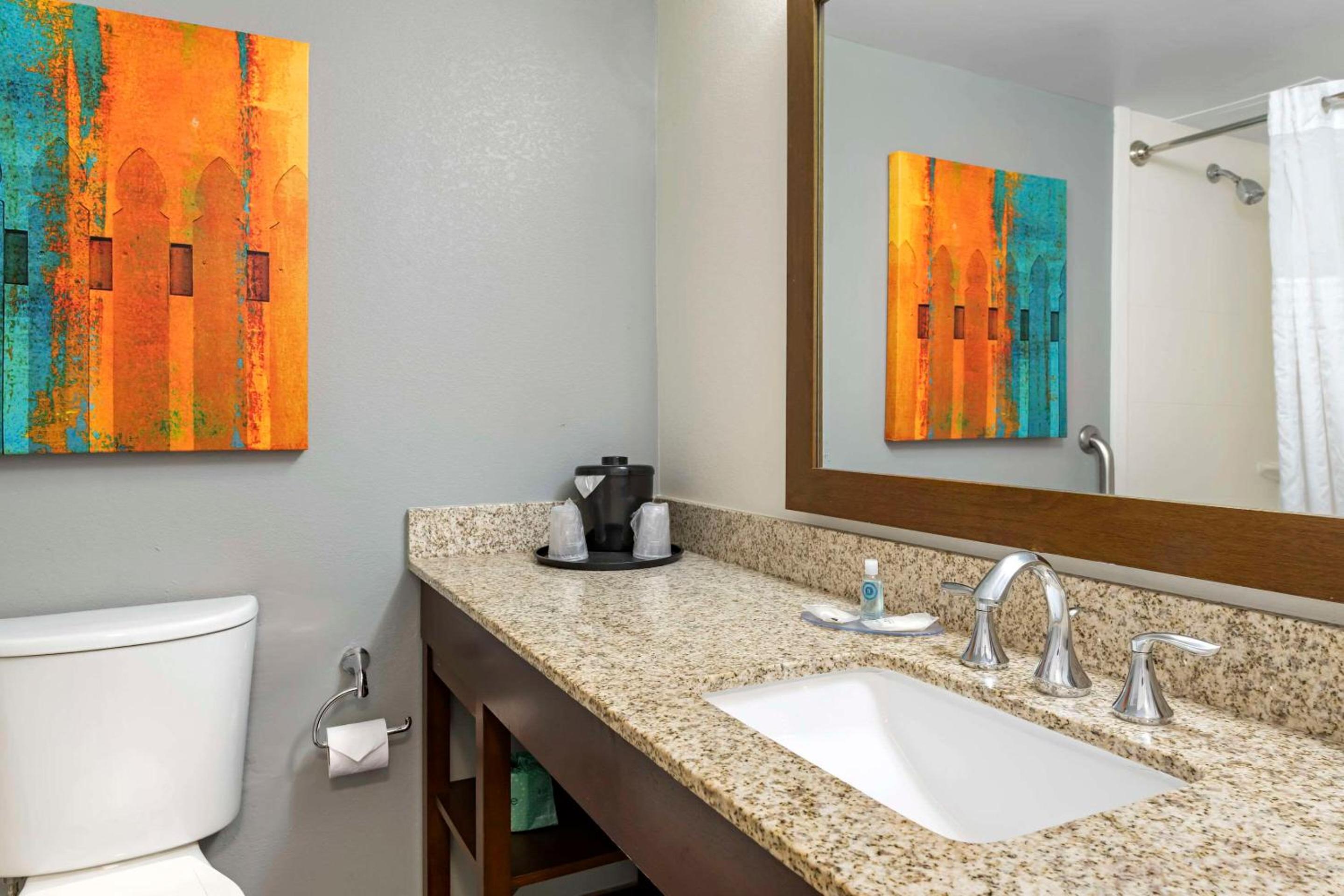 Double Efficiency Suite - Non-Smoking/Accessible - Photo 3