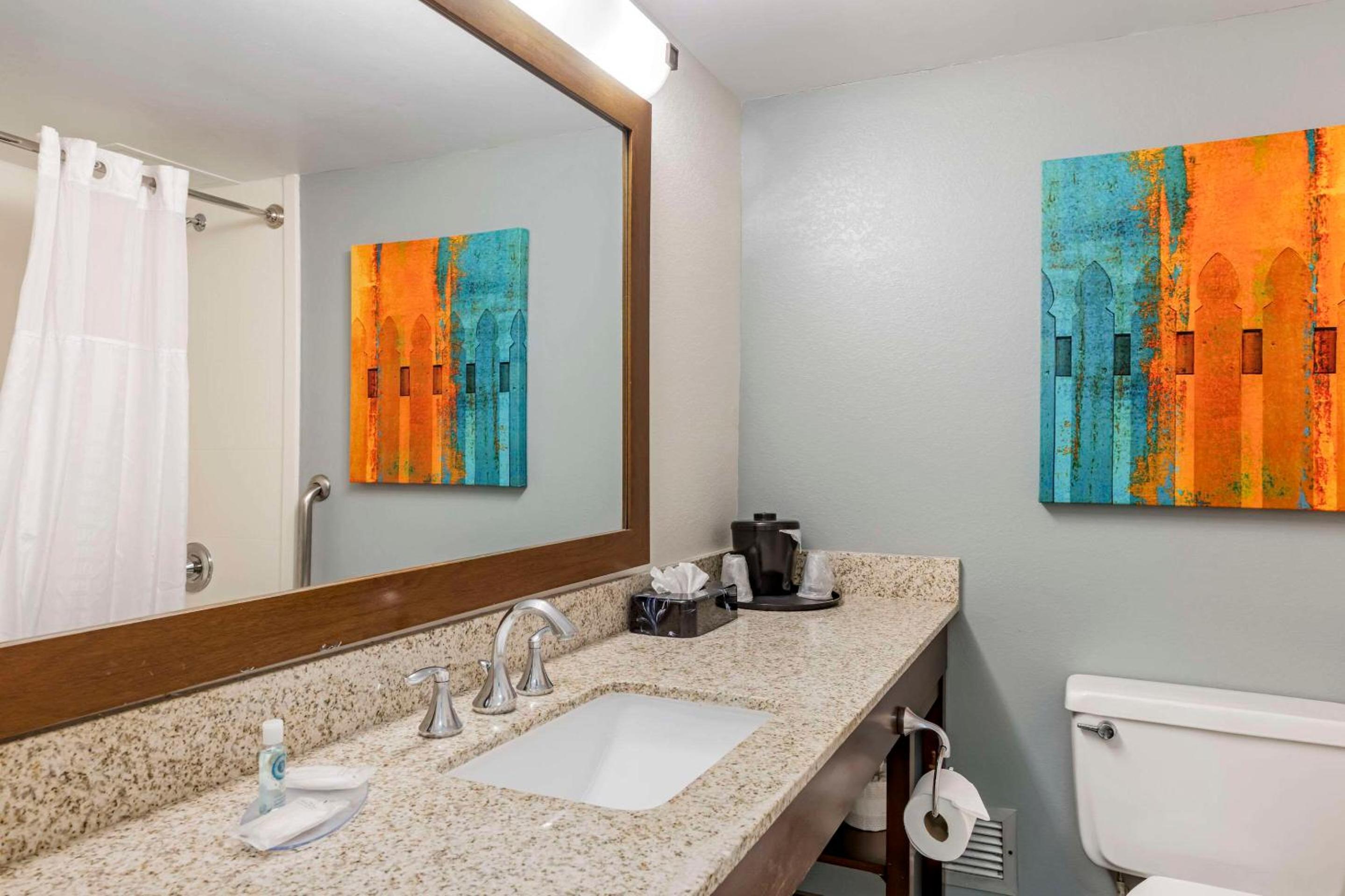 Double Efficiency Suite - Non-Smoking/Accessible - Photo 4