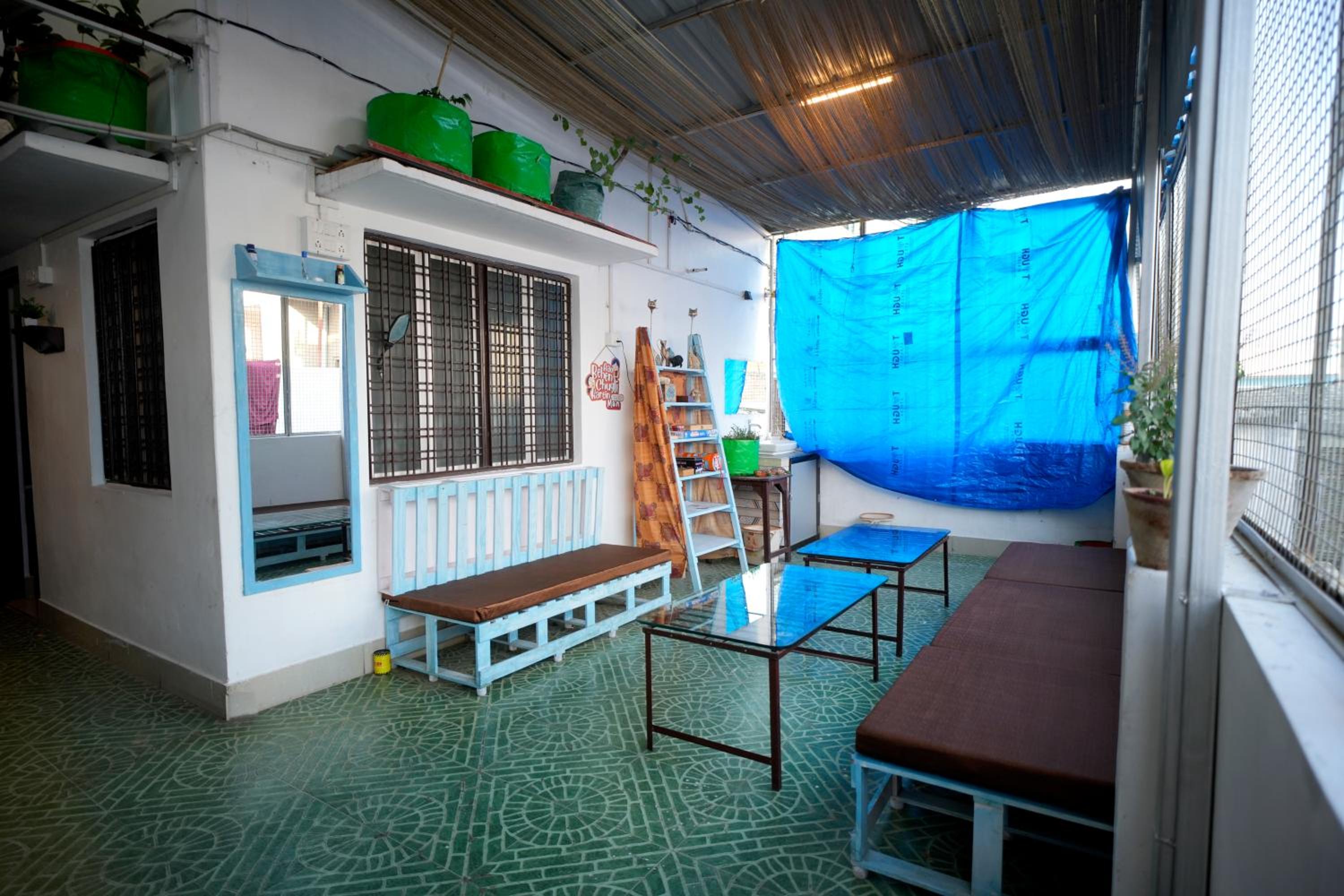 6-Bed Female Dormitory Room photo 3