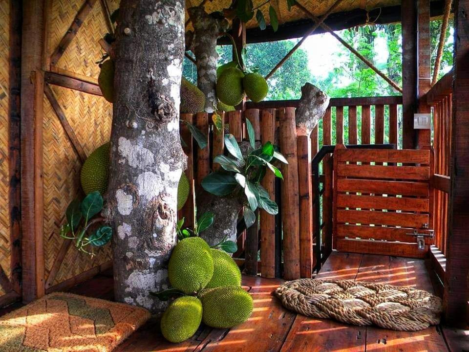 Greens Tree House photo 3