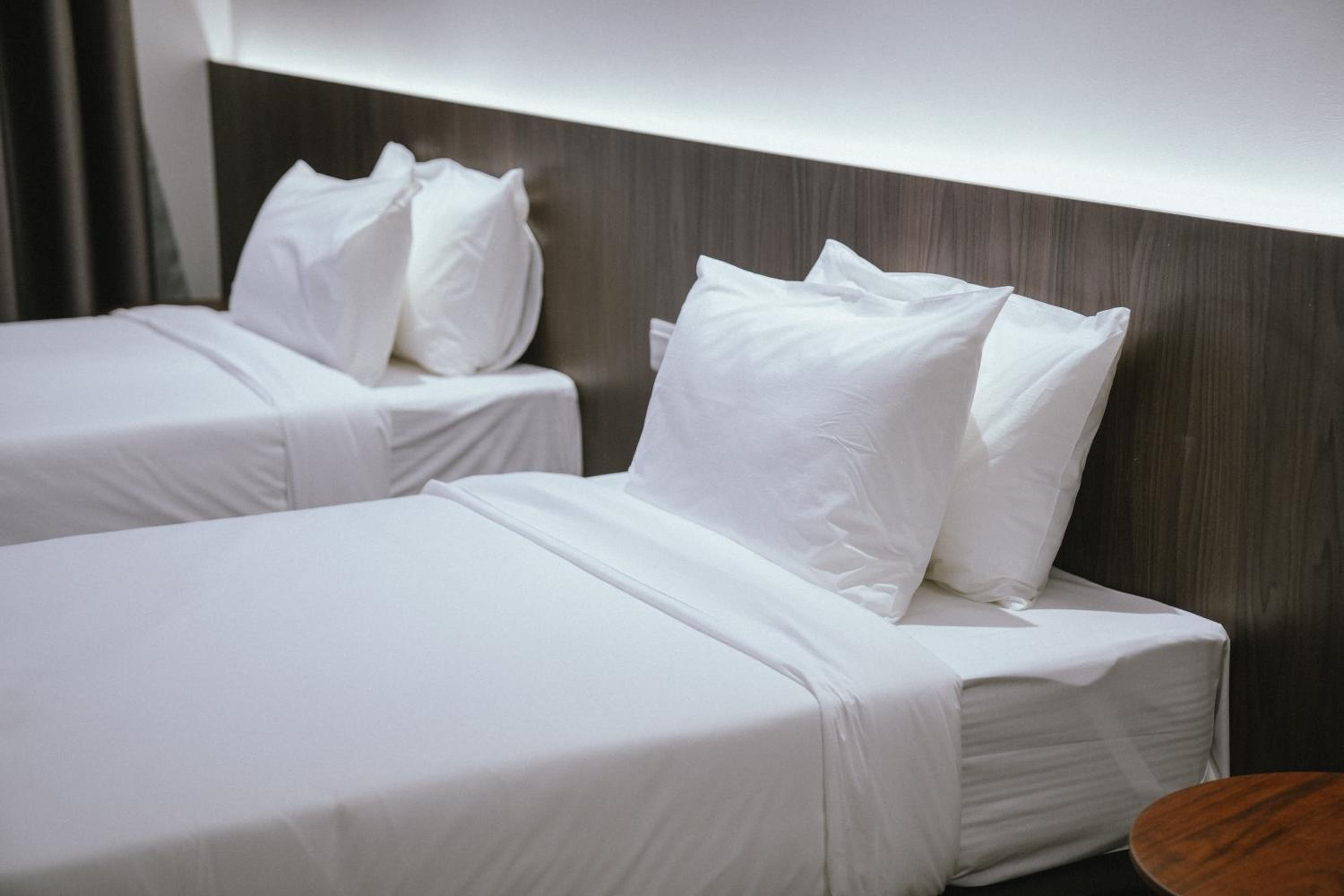 Standard Twin Room photo 2