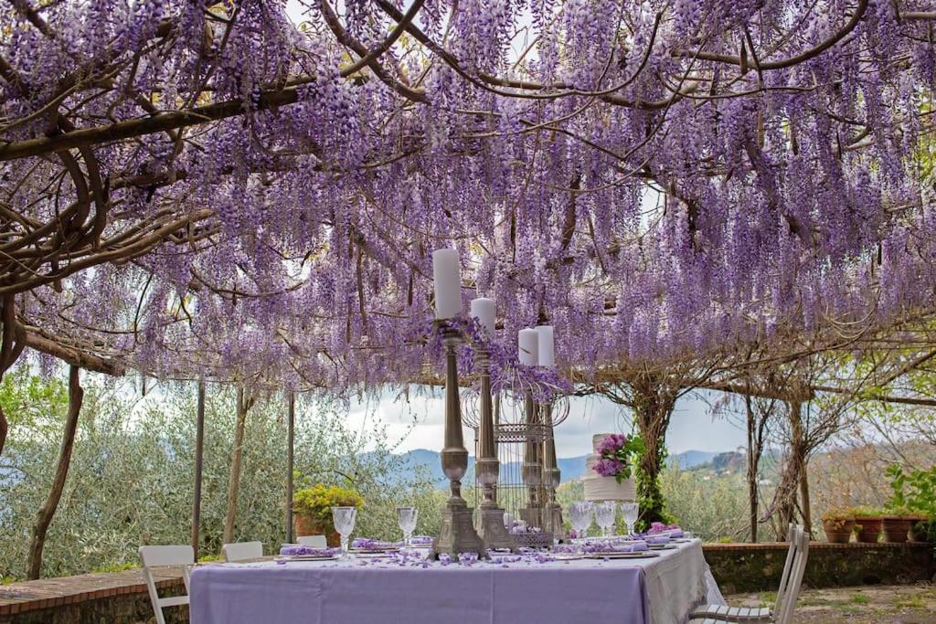 Villa photo 3