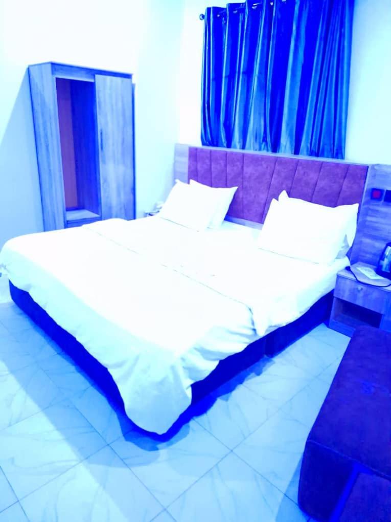 Deluxe One-Bedroom Apartment