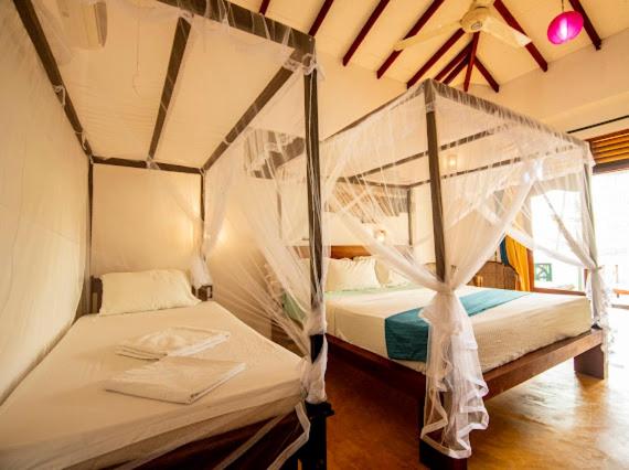 Deluxe Triple Room photo 2