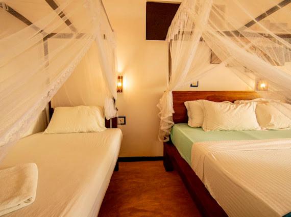 Deluxe Triple Room photo 3