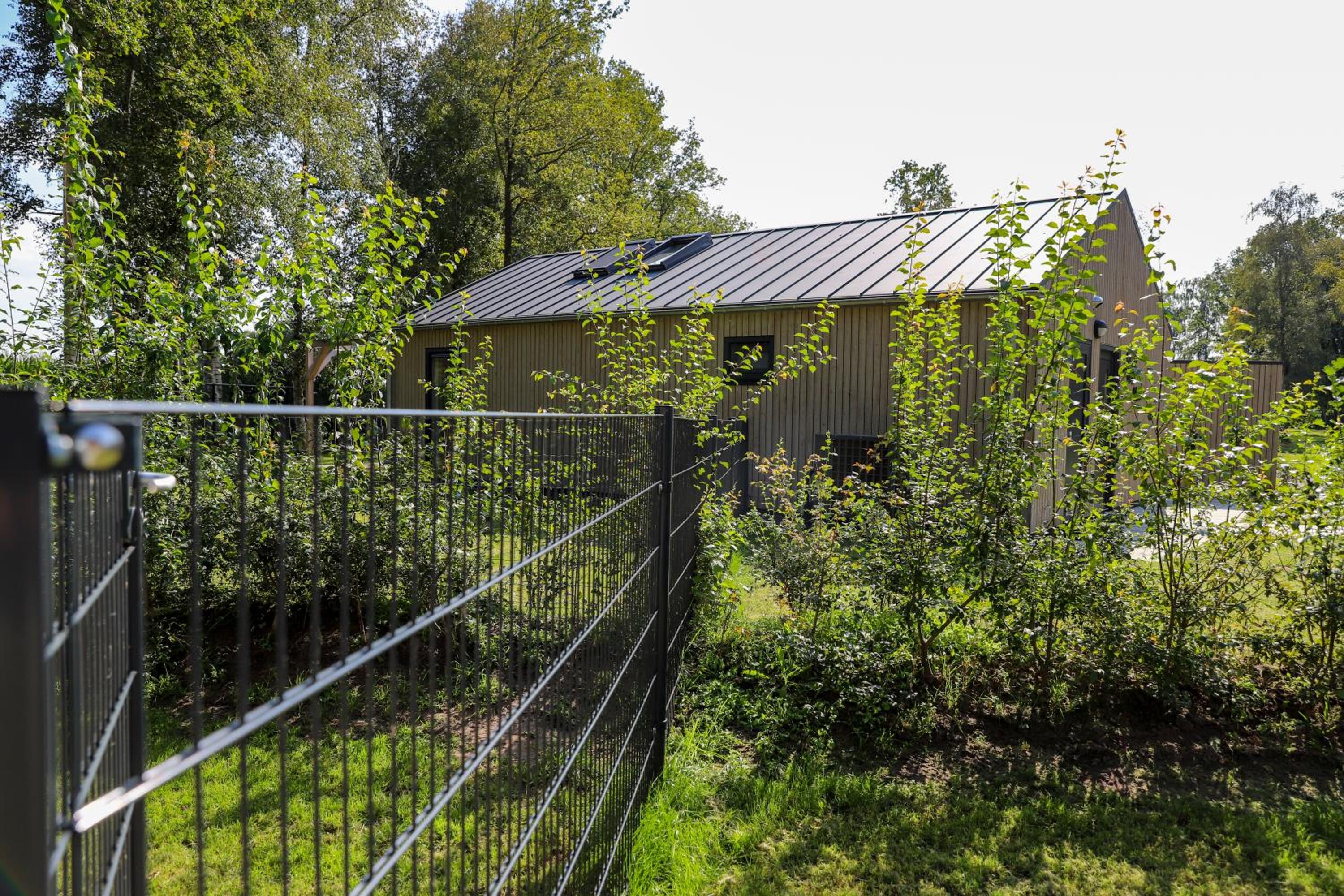 Bungalow with Garden View photo 2
