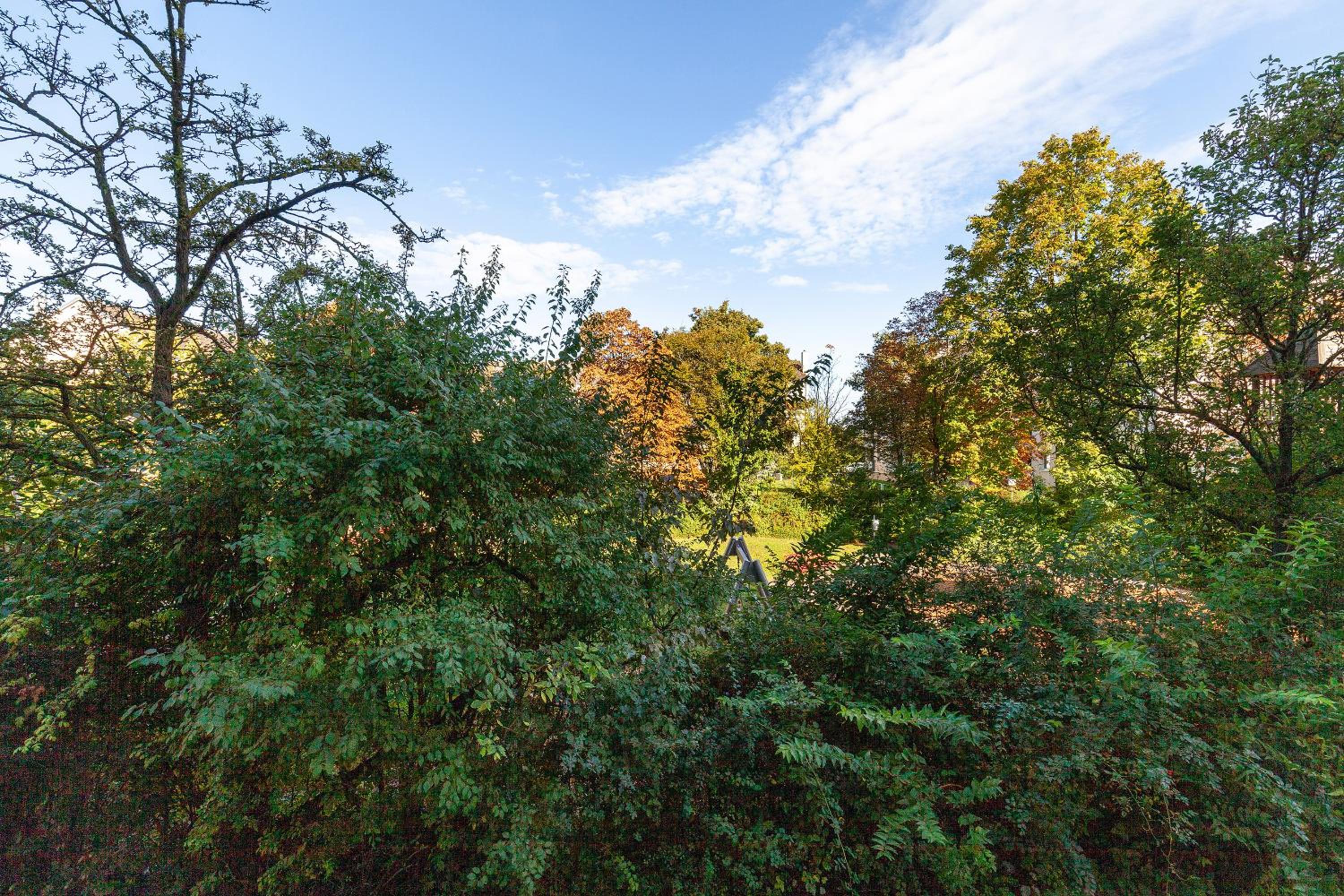 Superior One-Bedroom Apartment With Balcony photo 3