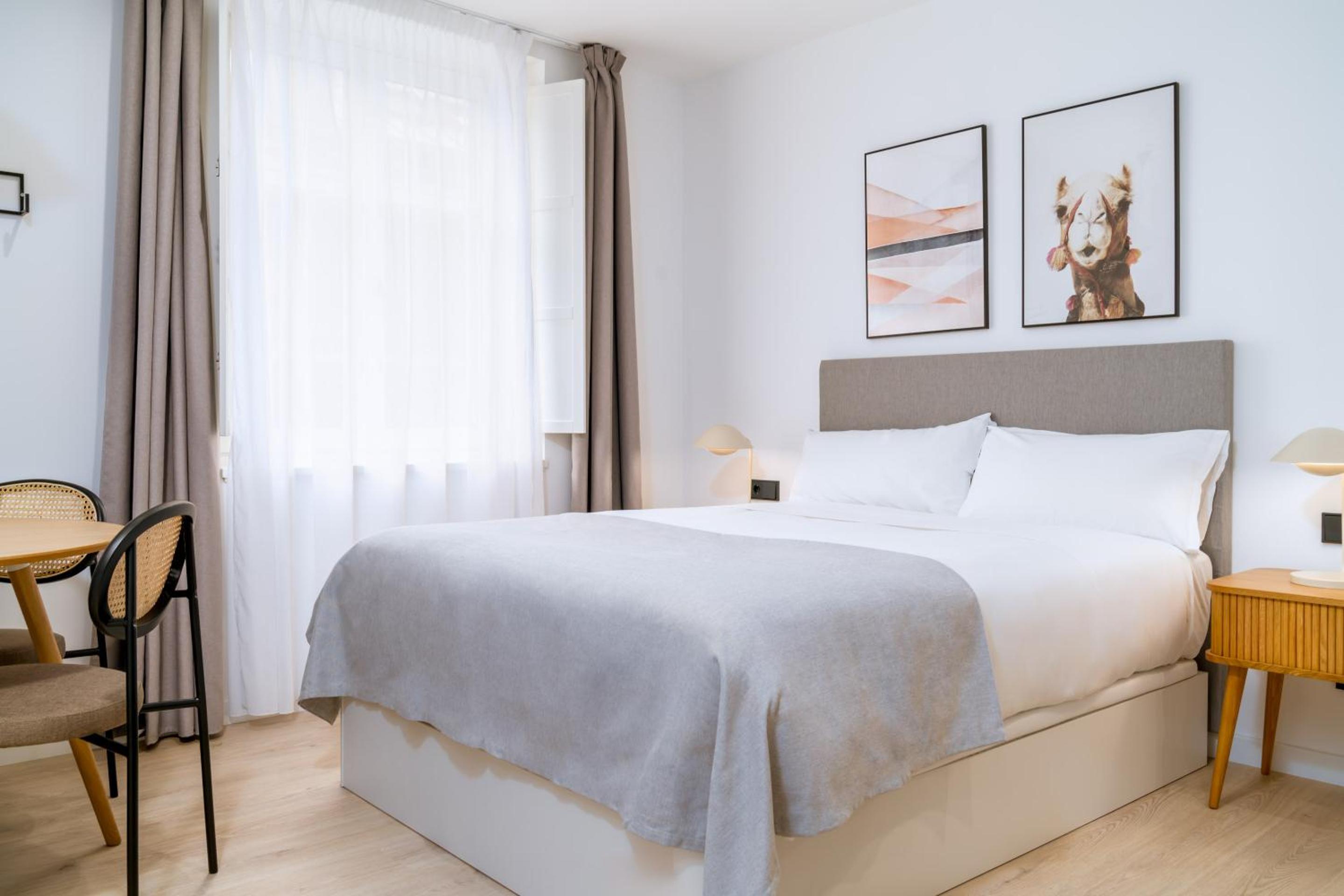 Estudio con sofá cama