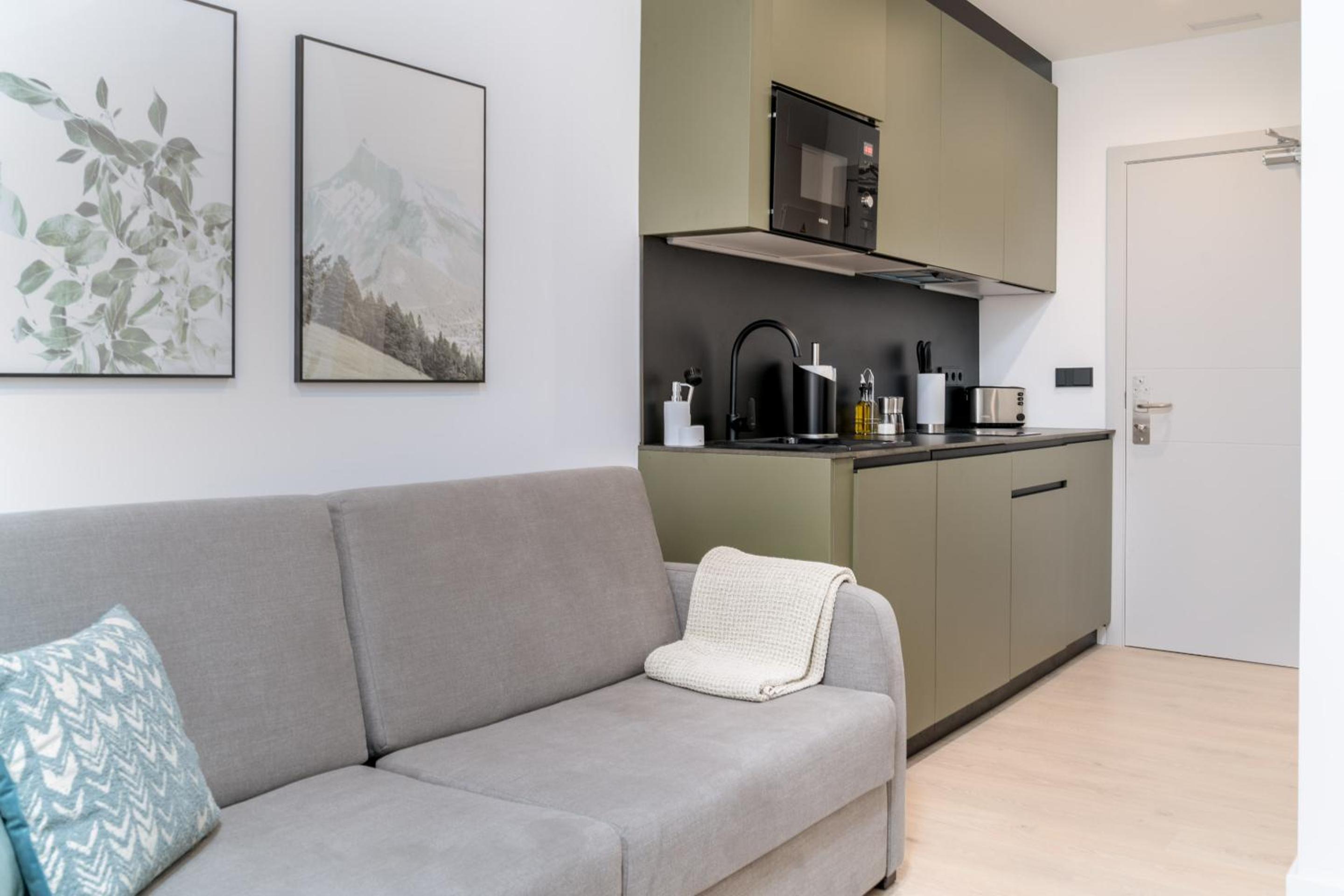 One-Bedroom Comfort Apartment photo 3