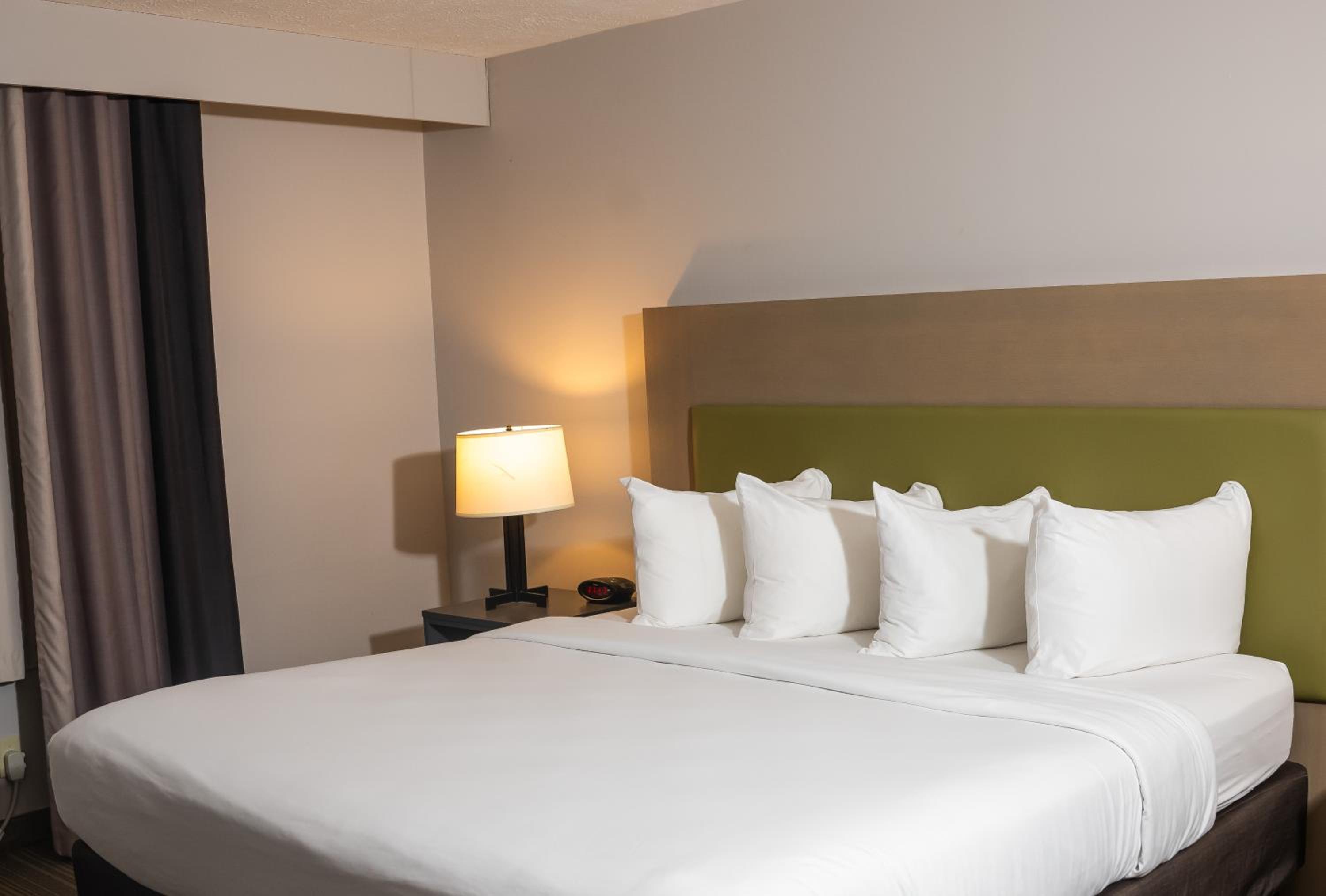 One-Bedroom King Suite - Non-Smoking - Photo 1