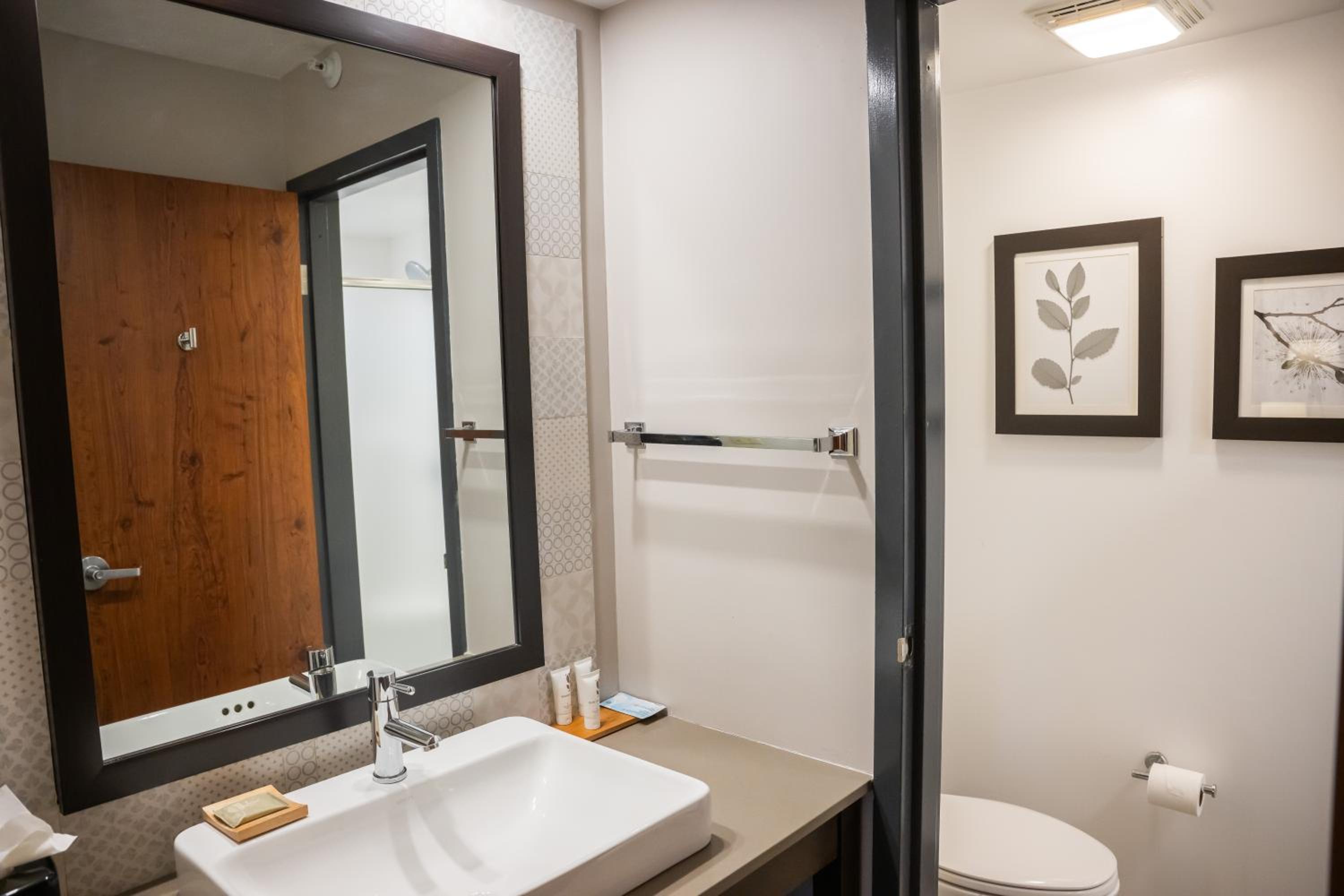 One-Bedroom King Suite - Non-Smoking - Photo 4