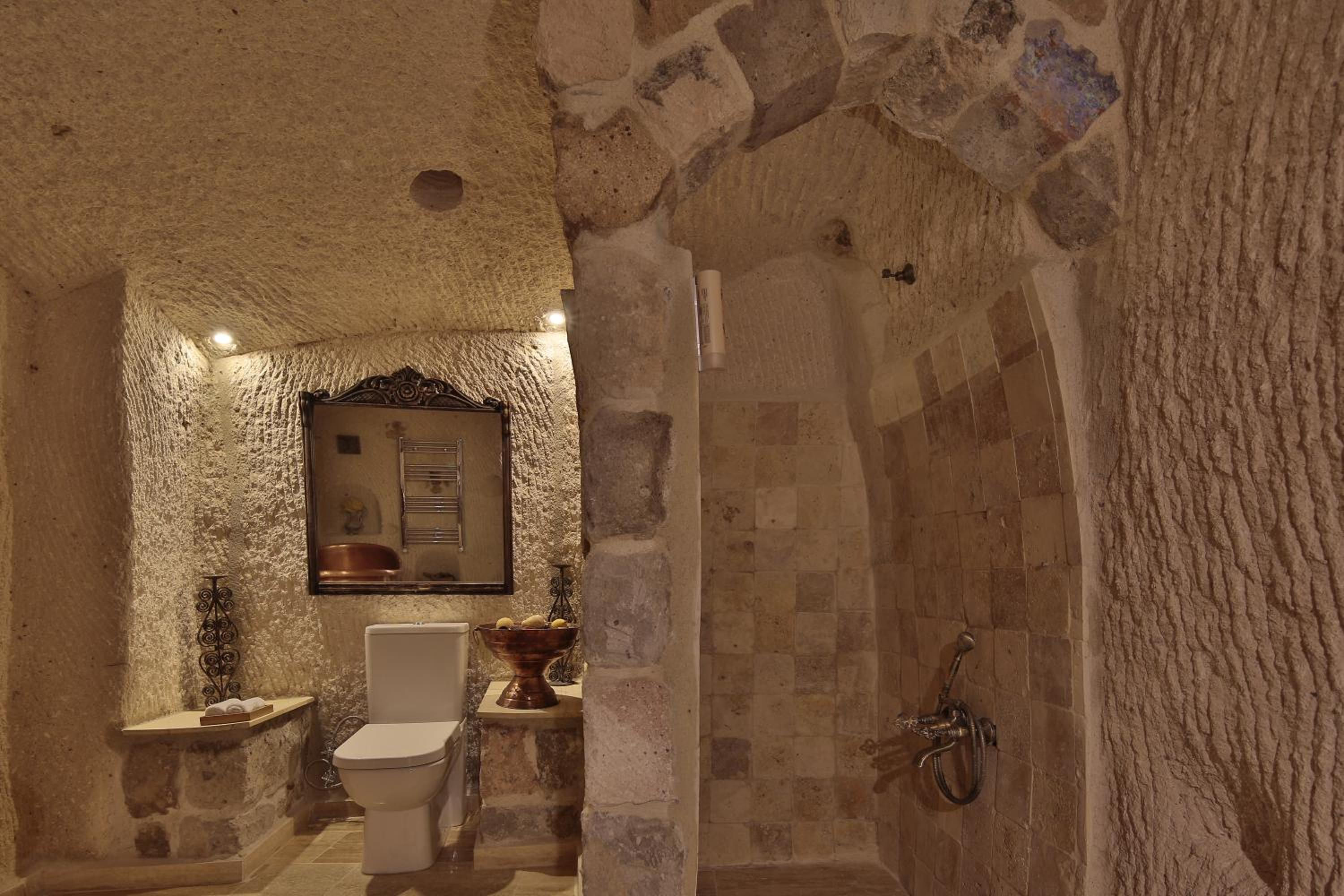  Premier Cave Suite photo 2