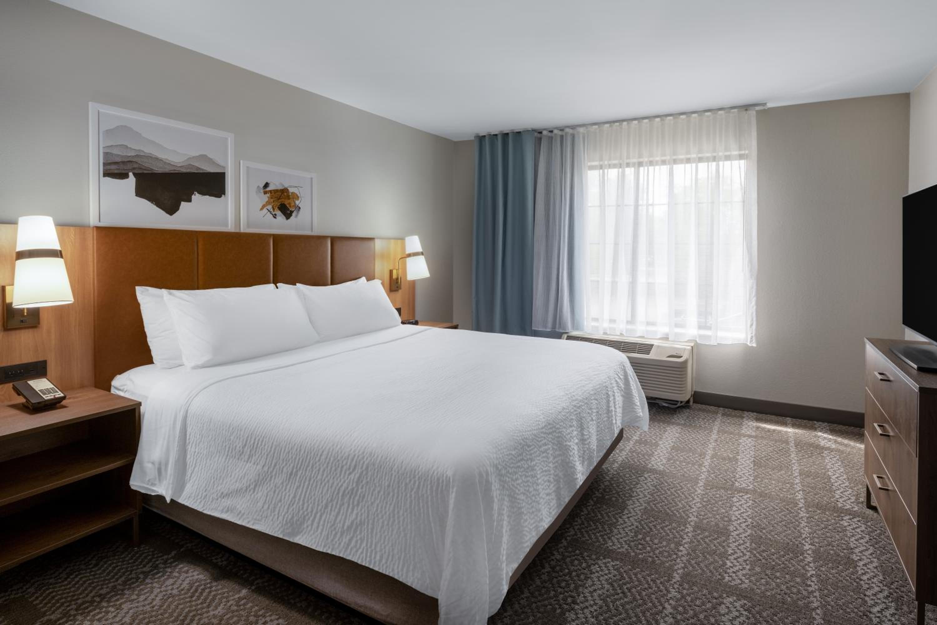 One-Bedroom Suite with Sofa Bed - Photo 1
