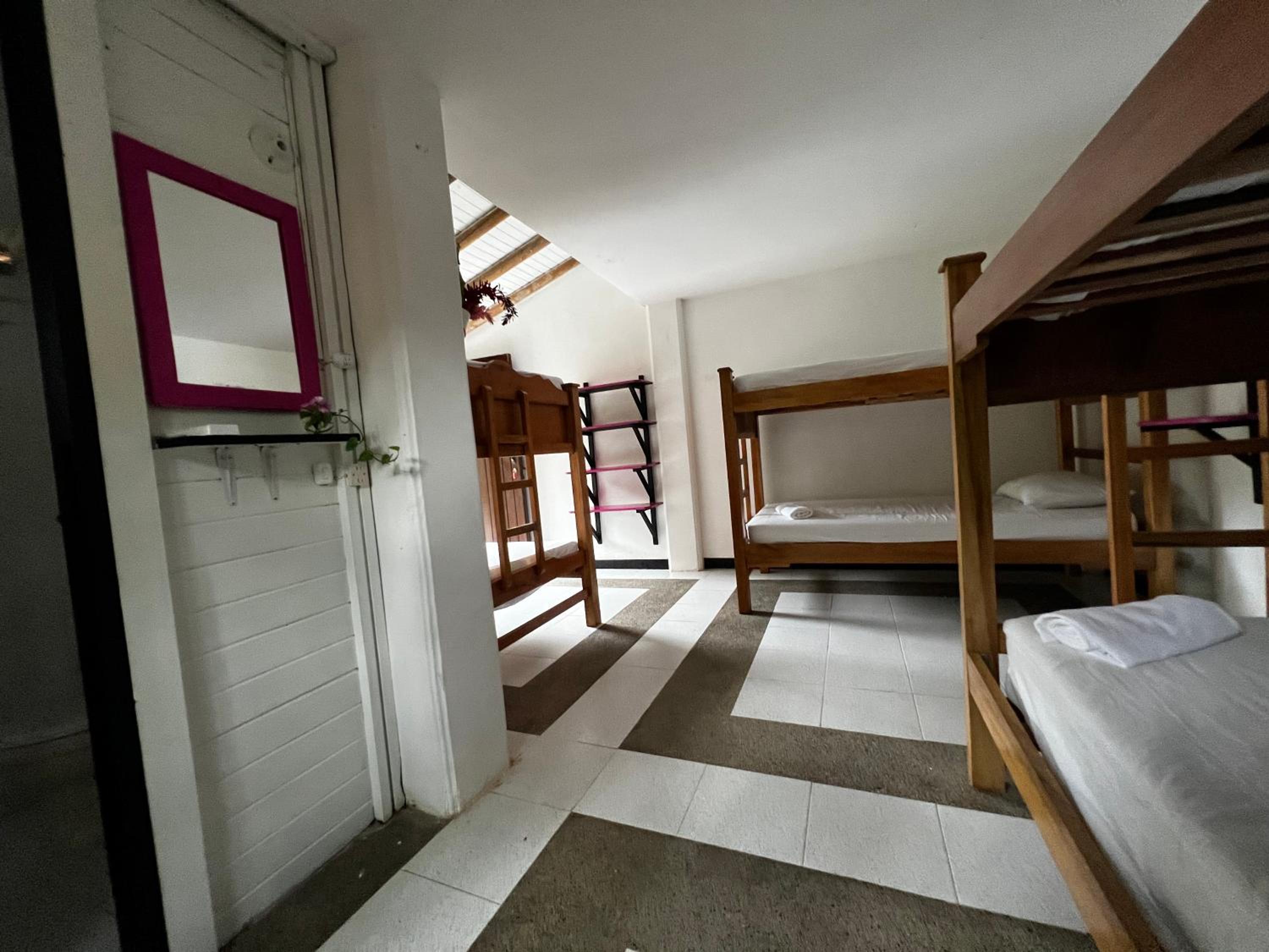 Bed in 6-Bed Mixed Dormitory Room photo 3