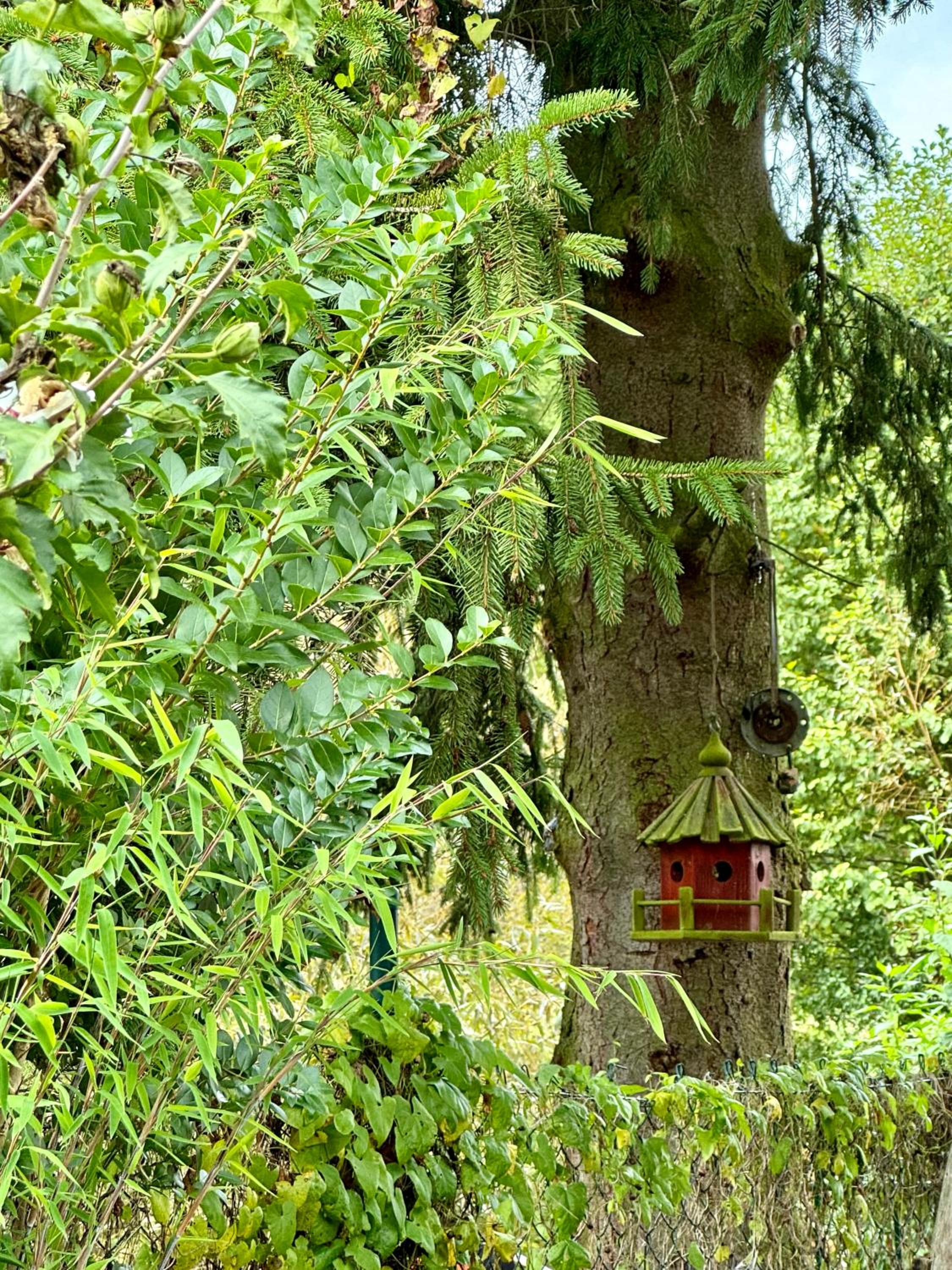 Villa photo 3