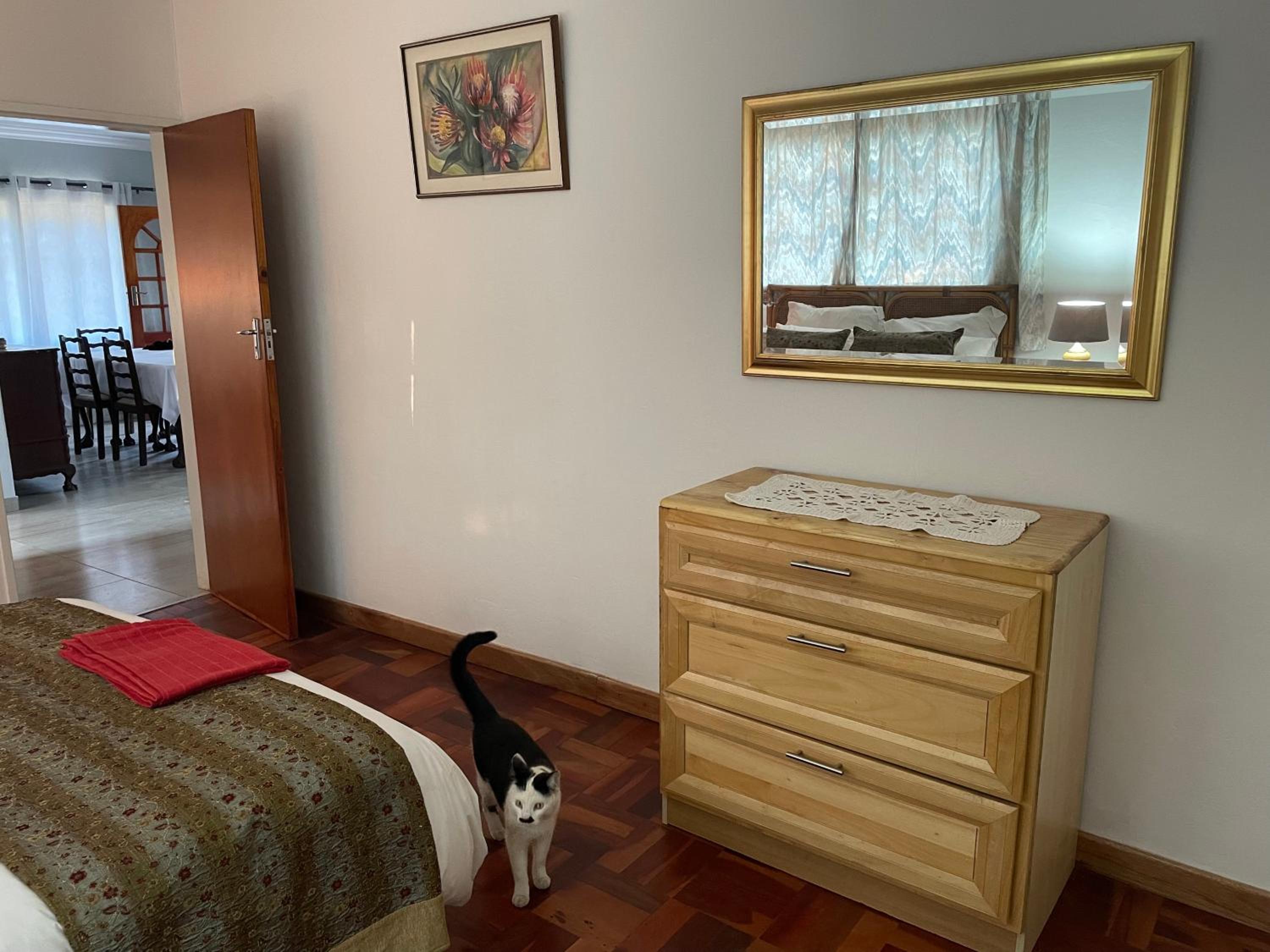 Two-Bedroom House photo 2