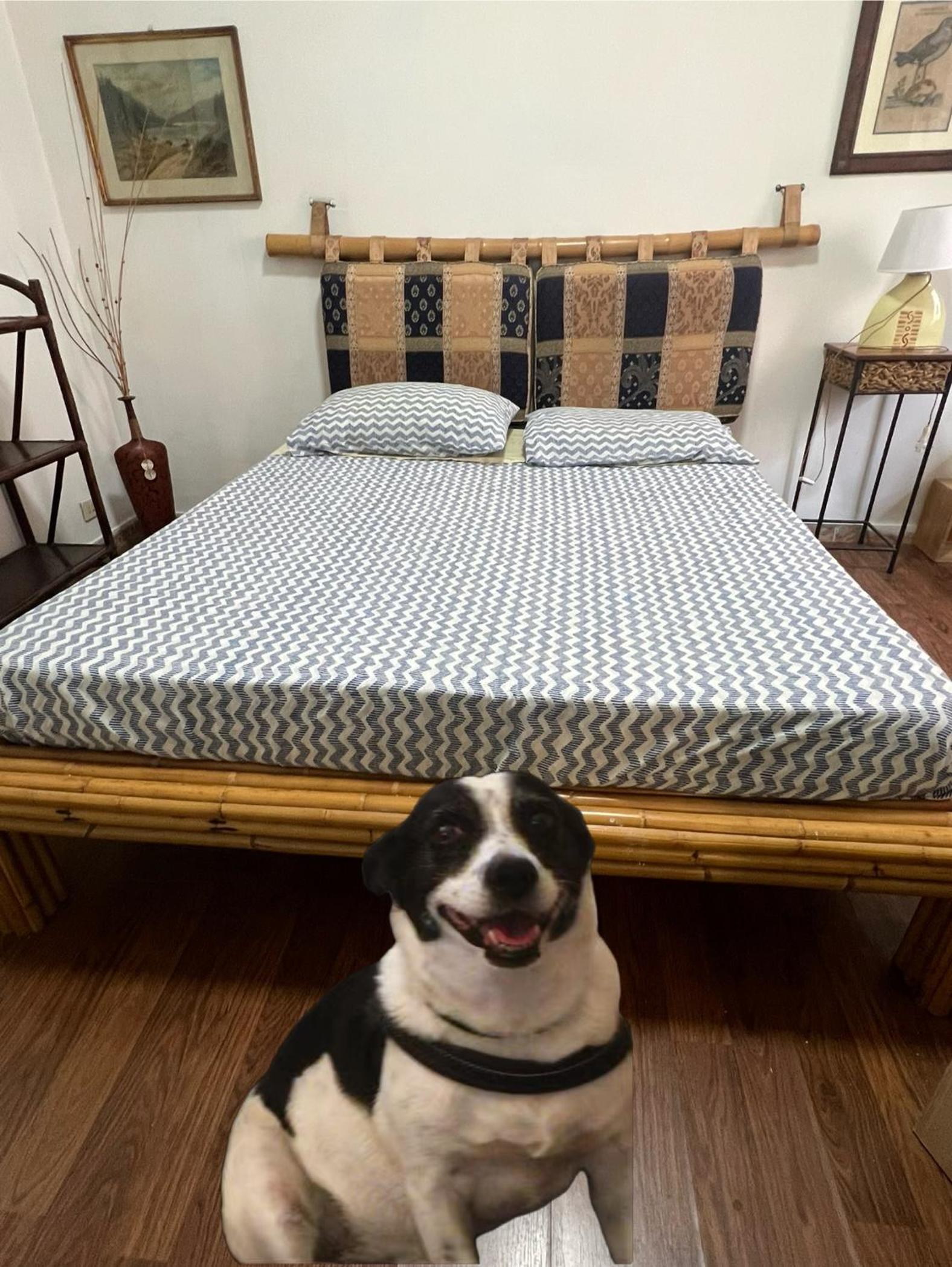 Double Room with Shared Bathroom