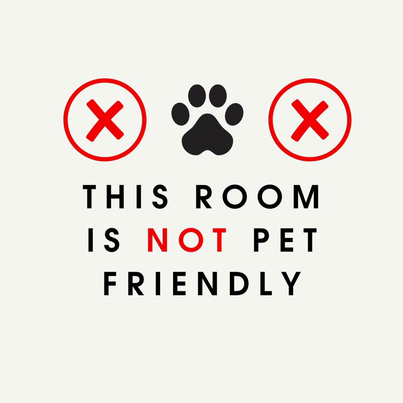 Budget Double Room thumbnail 6