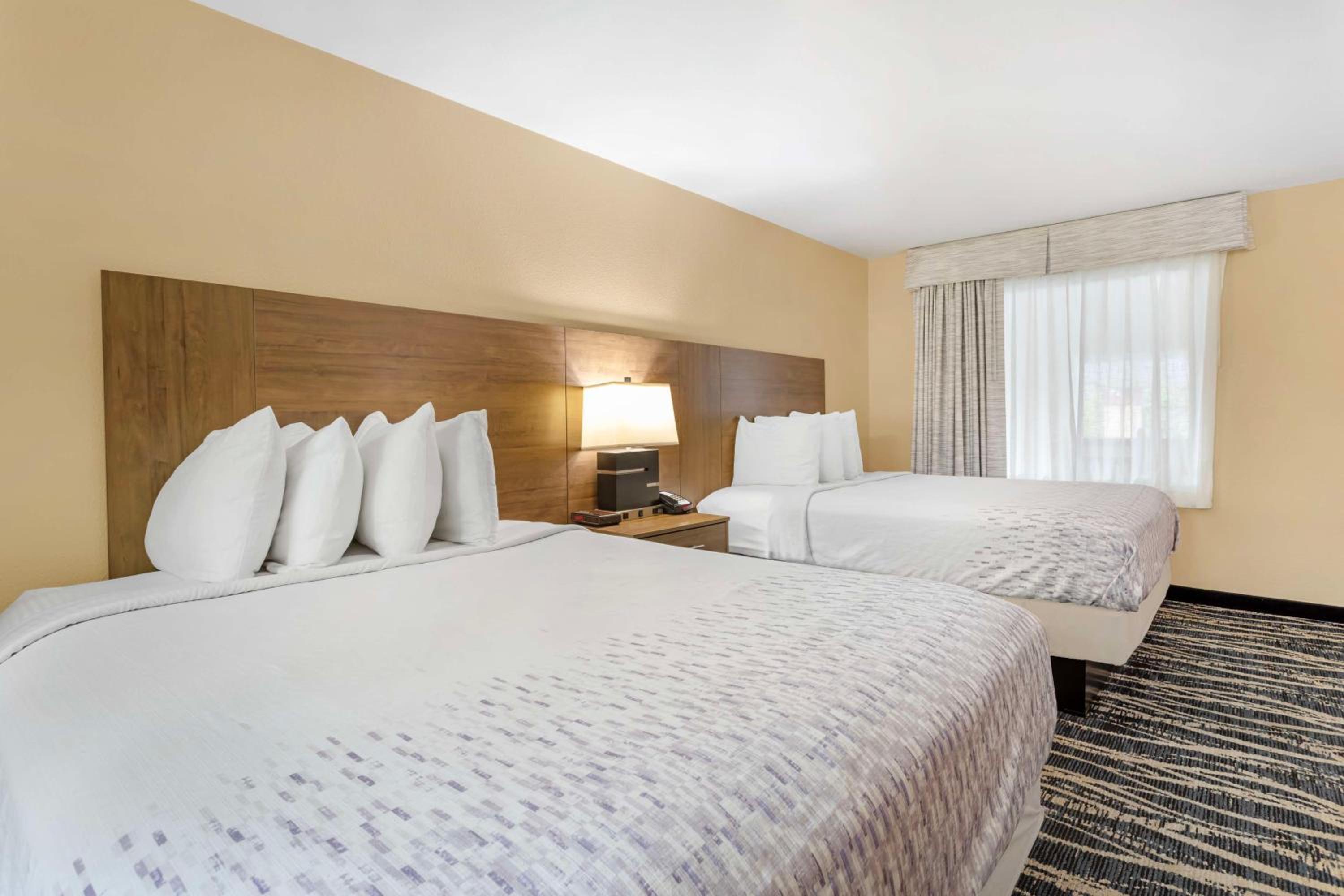 Queen Room with Two Queen Beds and Mountain View photo 3