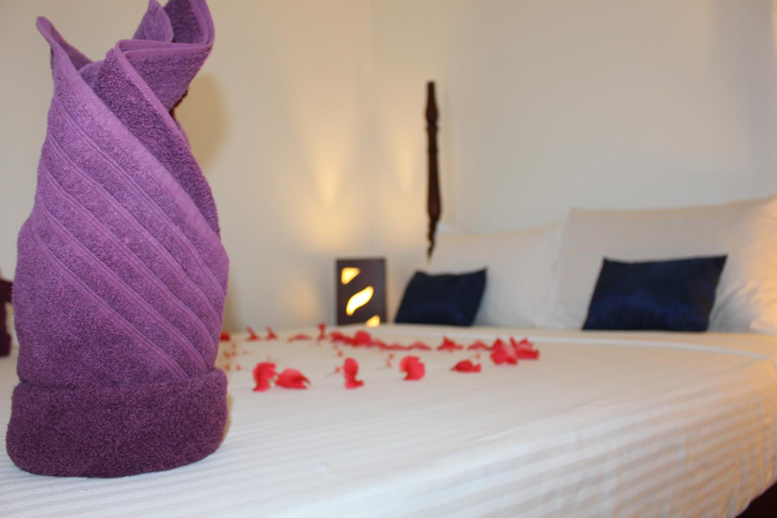 Superior Room with canal view