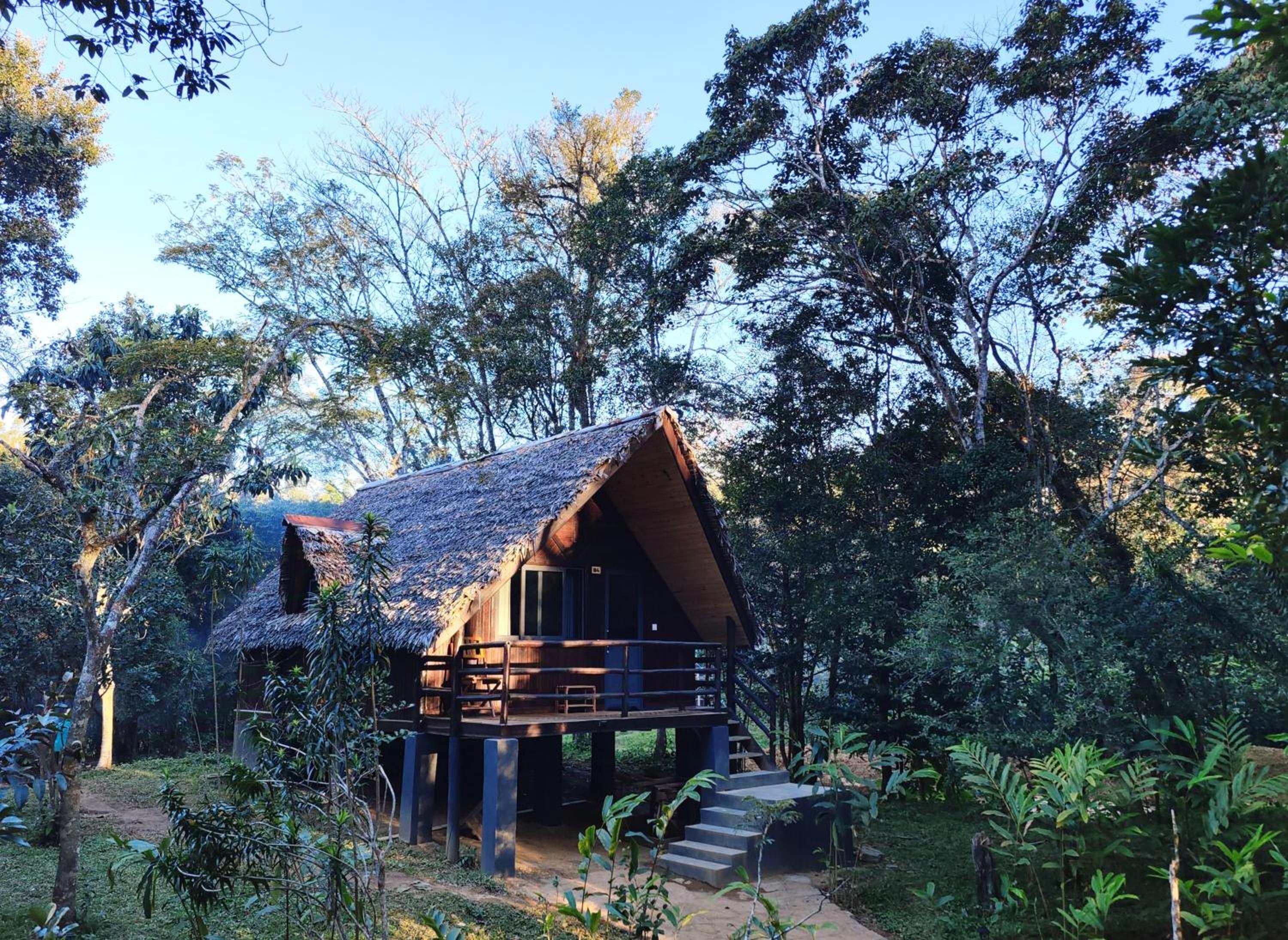 Family Bungalow photo 3