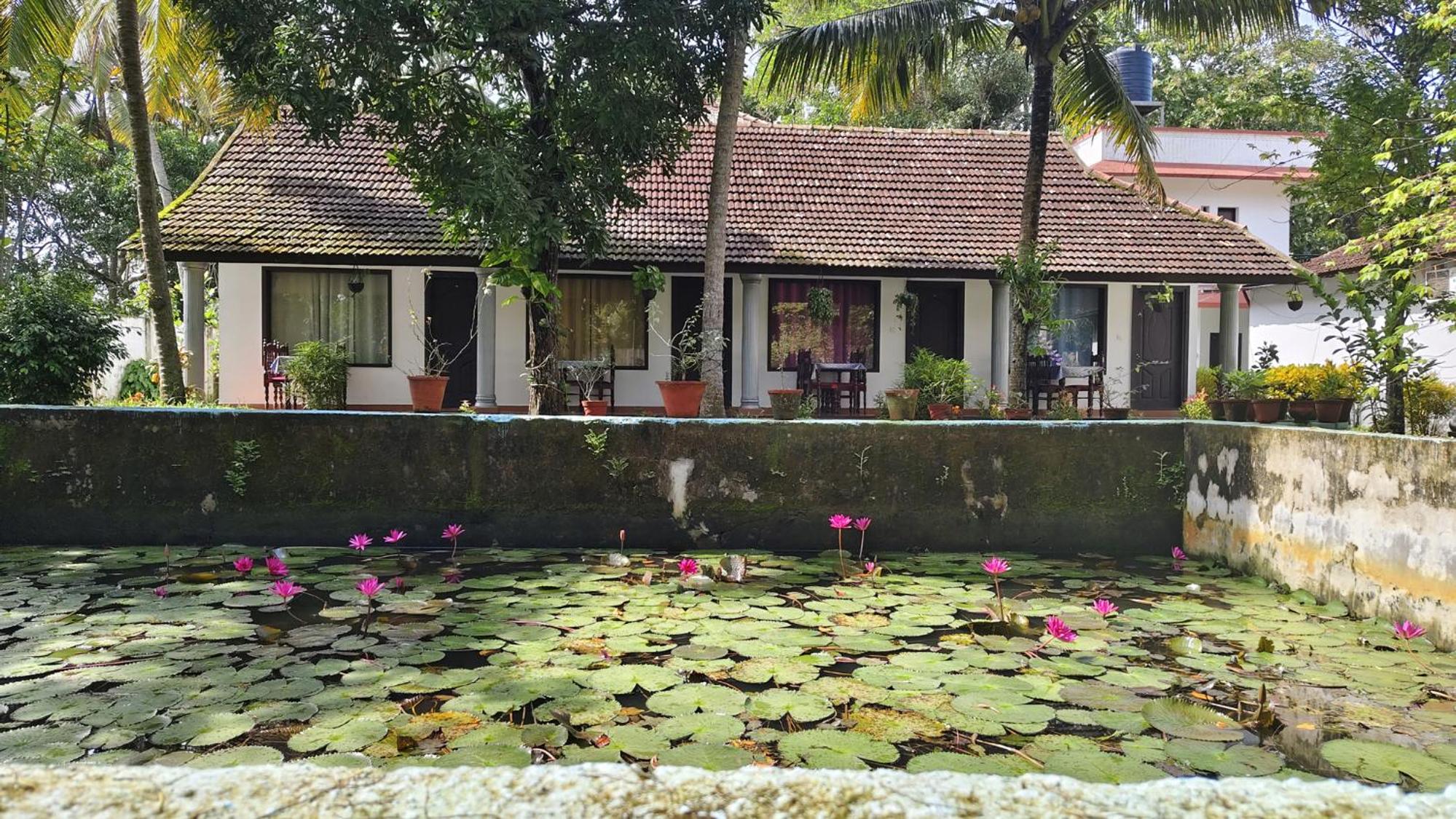 Double Room With Garden View photo 2