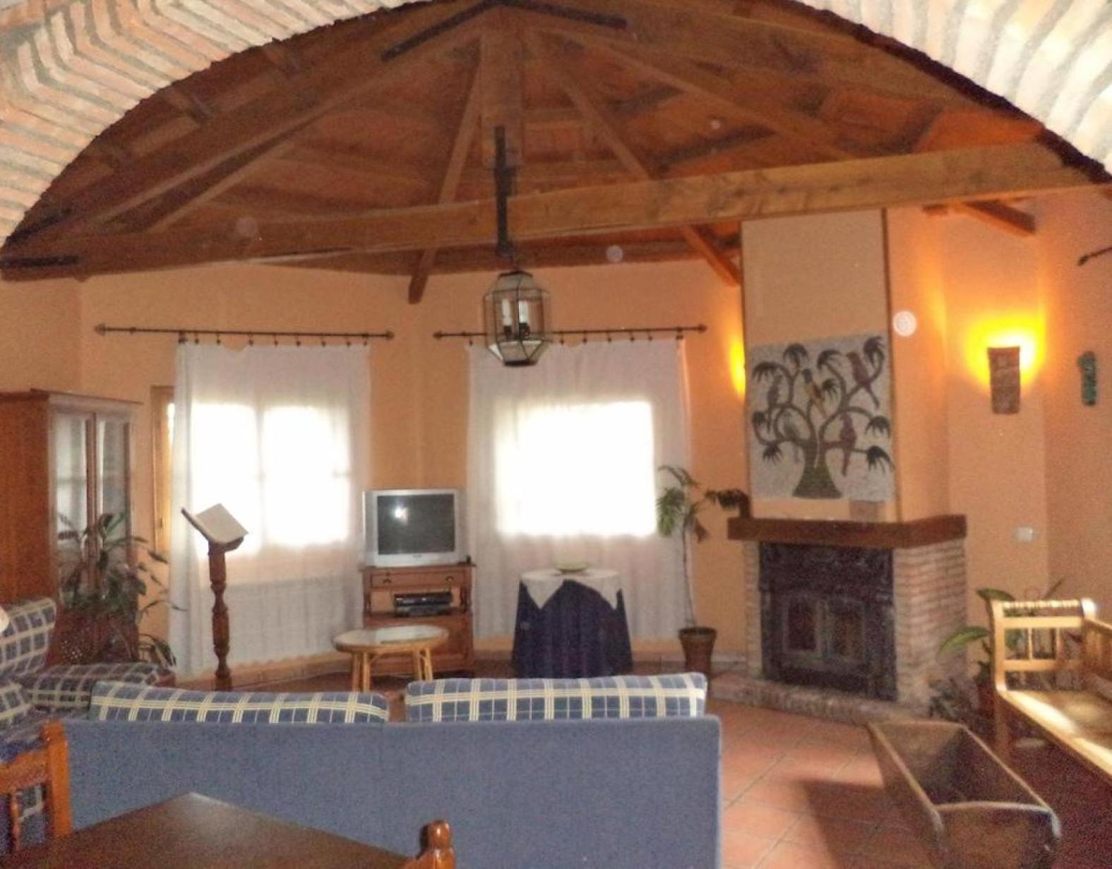 Apartment with Terrace photo 2
