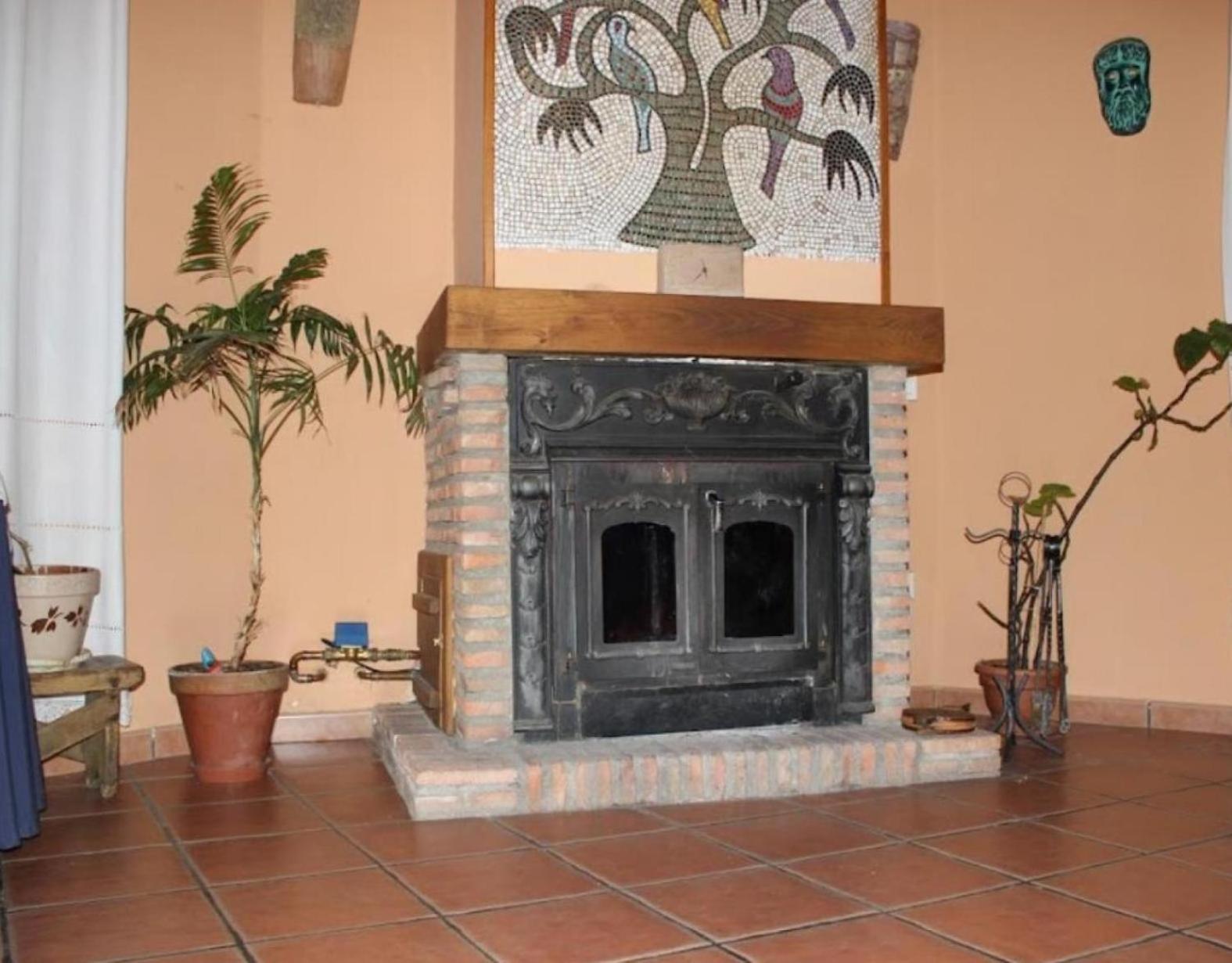 Apartment with Terrace photo 3