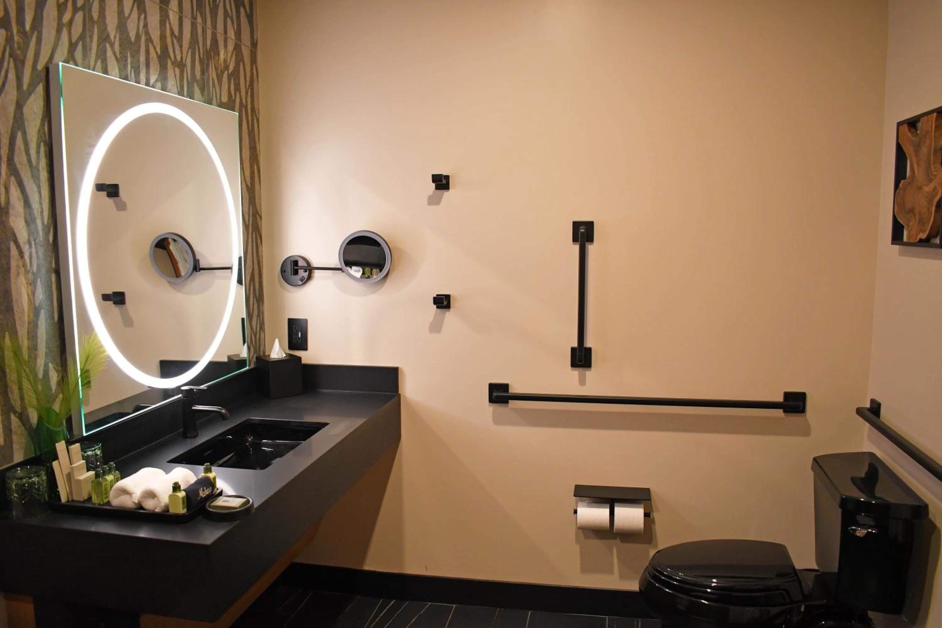 ADA Plunge Pool Suite King 21+ Only photo 2
