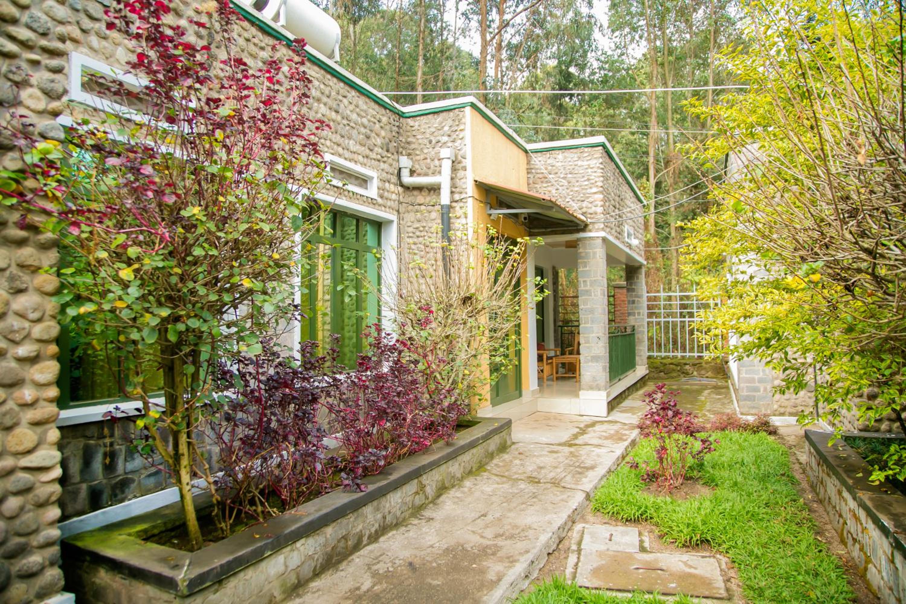 Single Room with Garden View photo 3