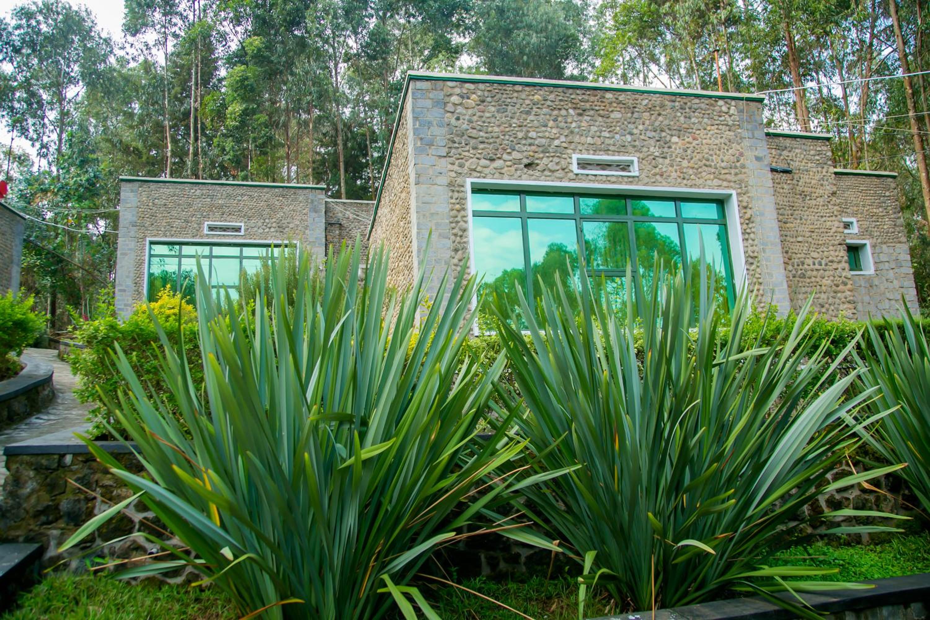 Single Room with Garden View