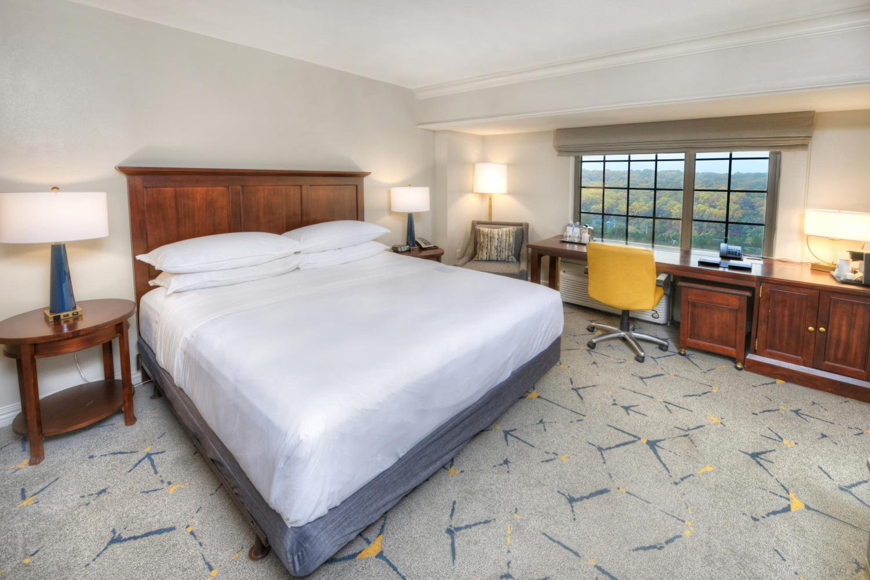 King Room with Roll-in Shower - Mobility and Hearing Accessible - Photo 3