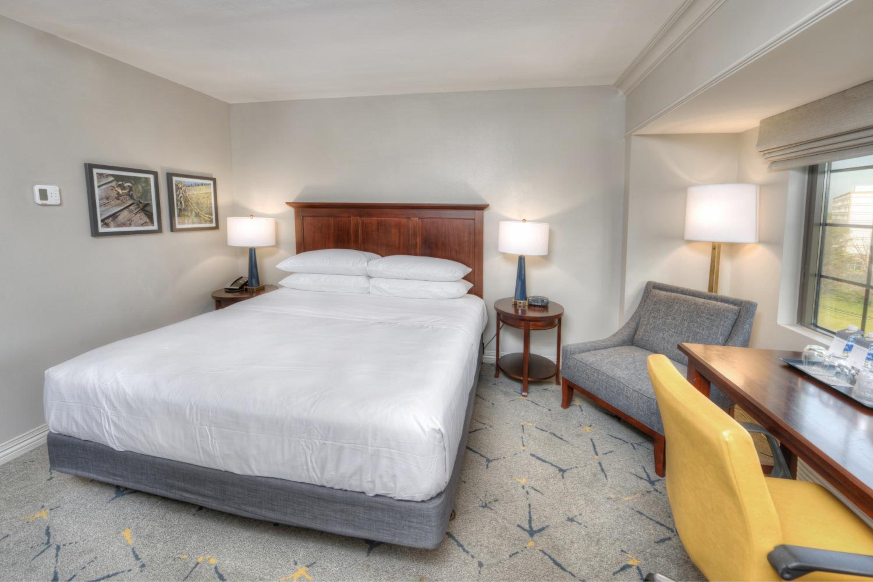 King Room with Roll-in Shower - Mobility and Hearing Accessible - Photo 1