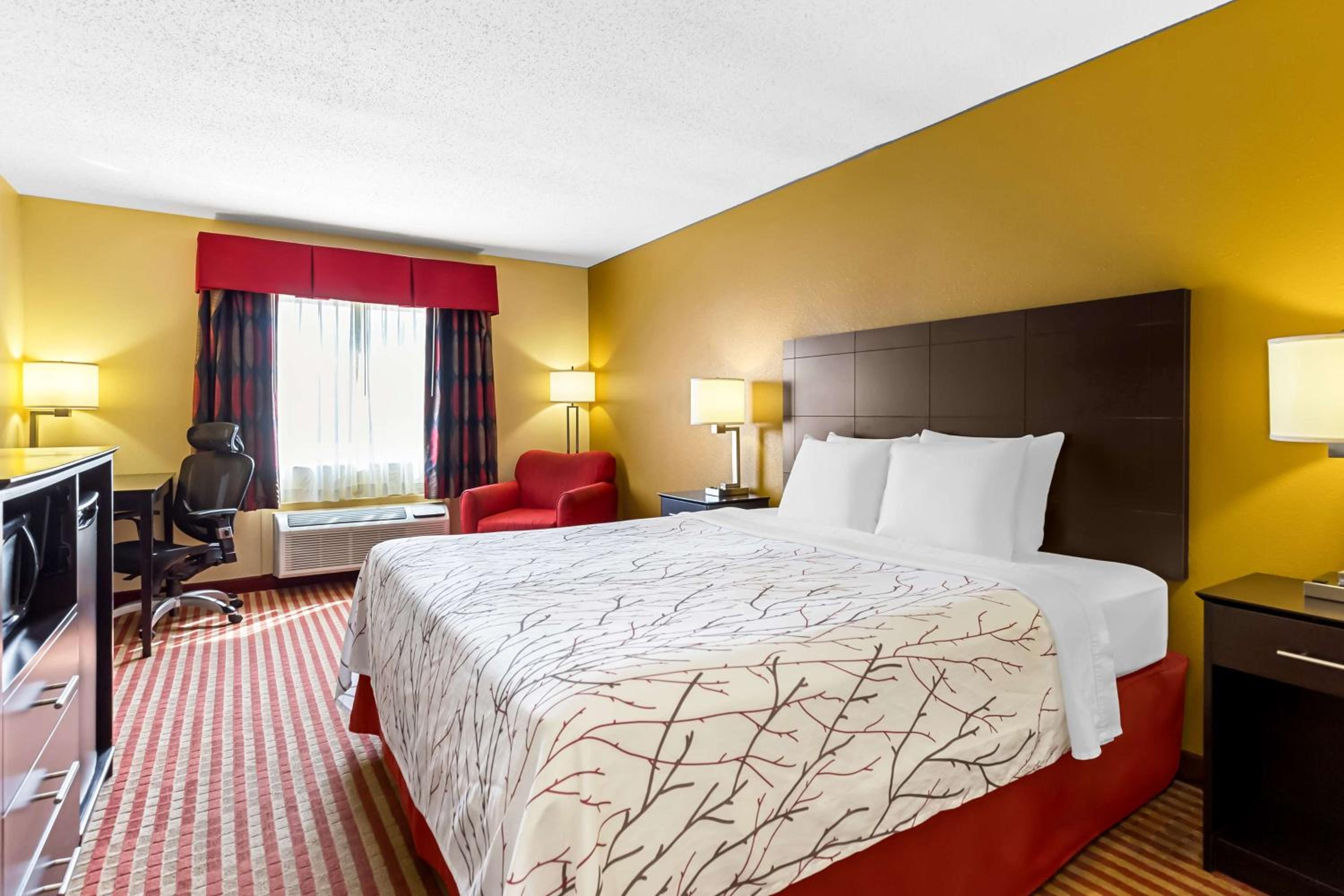 King Room - Photo 1