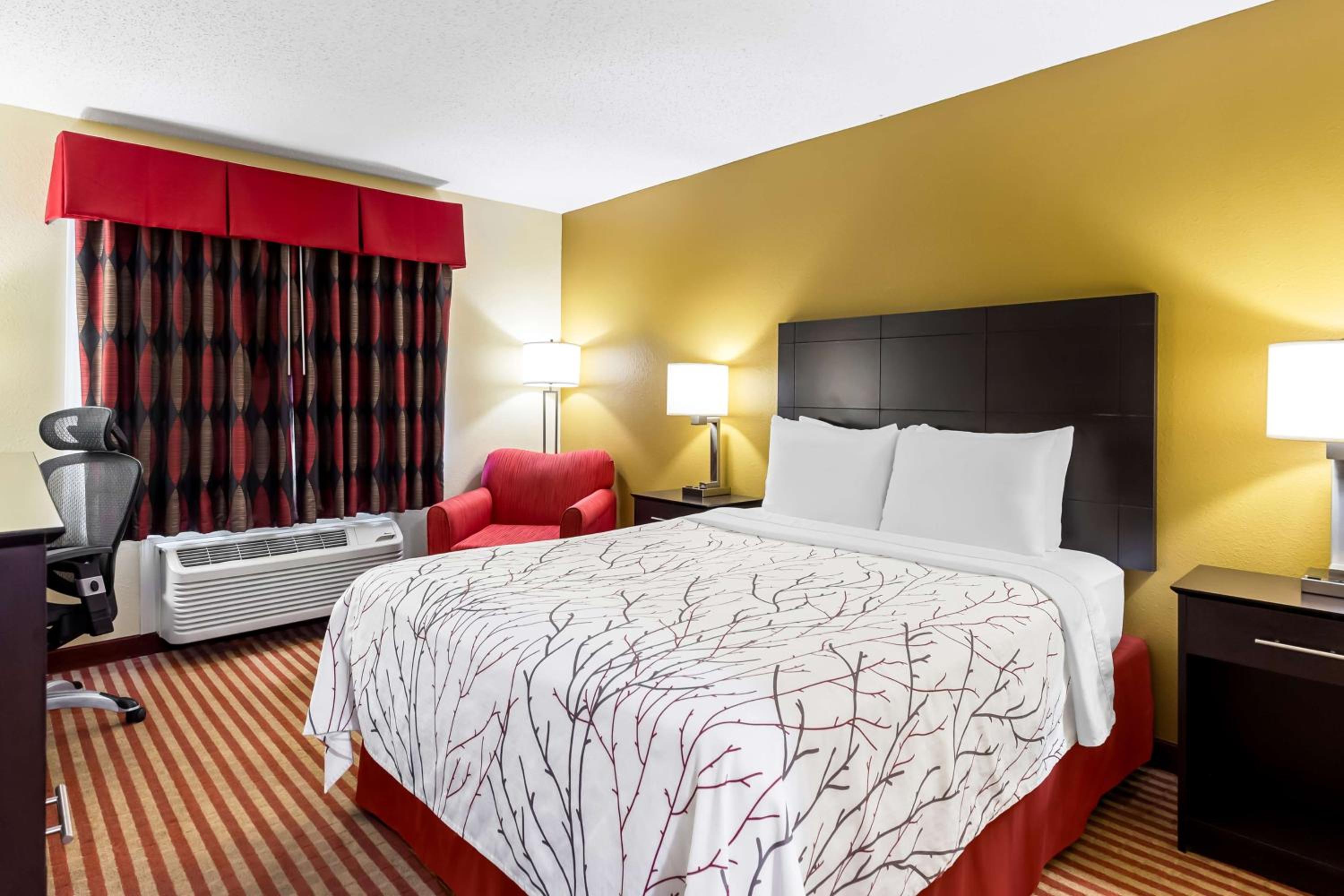 Queen Room - Disability Access - Photo 1
