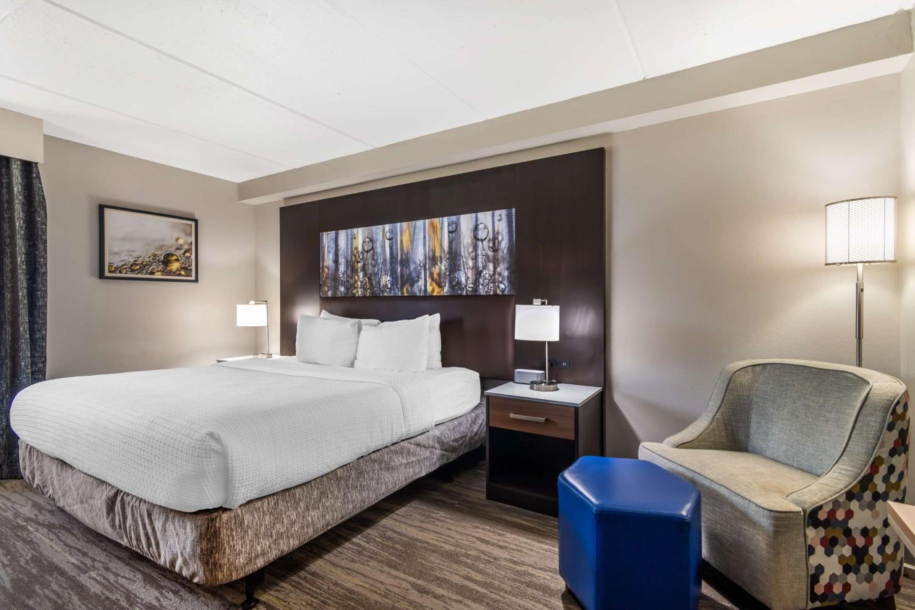 King Room - Disability Access - Photo 4