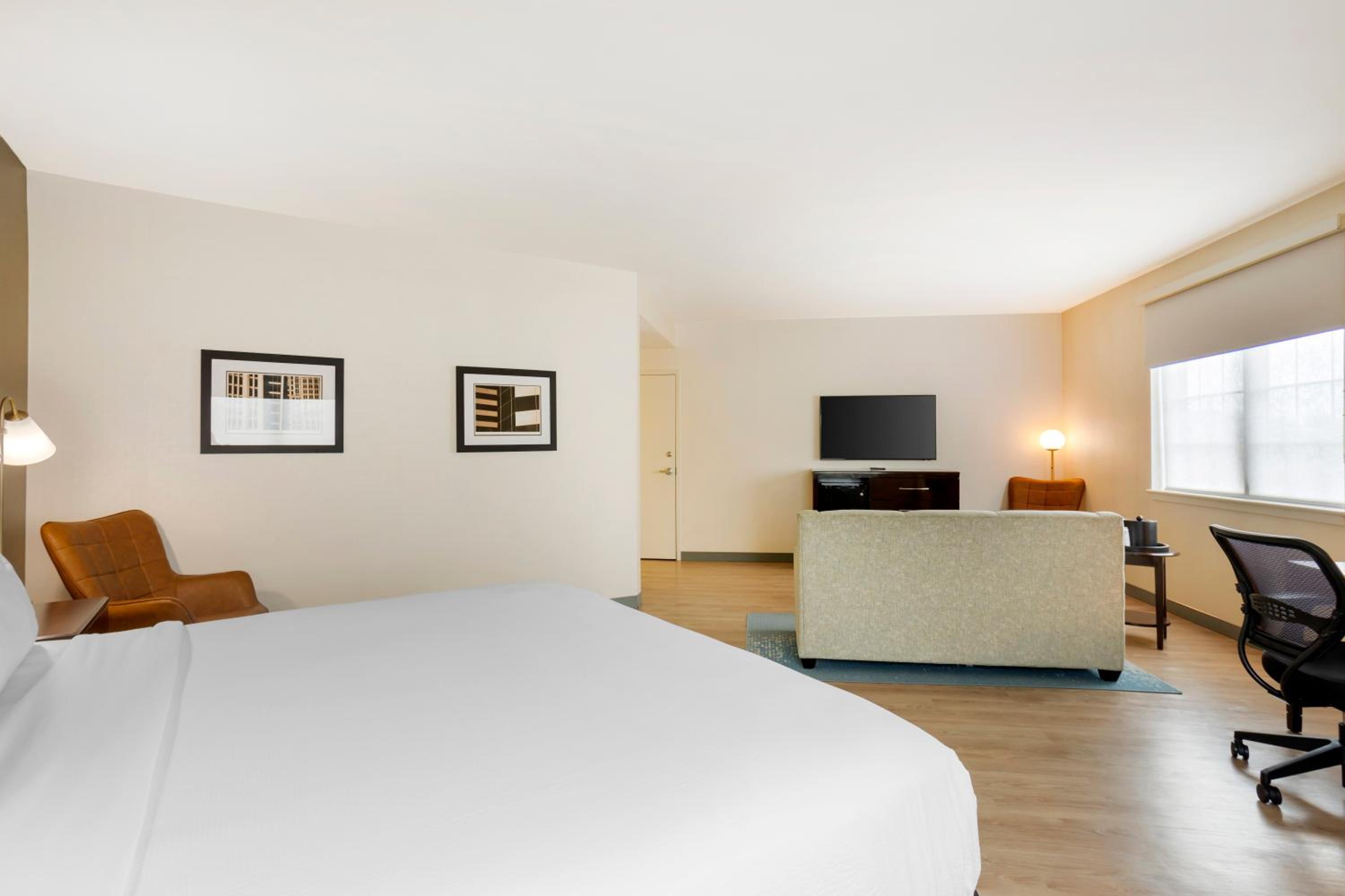 Large King Room With Sofa Bed - Non-Smoking photo 3