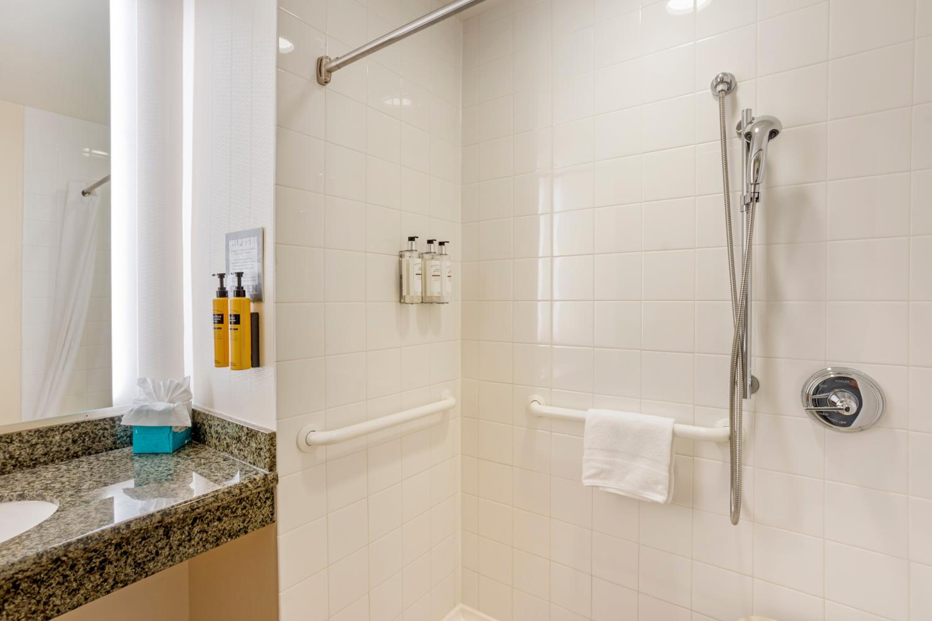 King Room With Roll-In Shower - Mobility Accessible photo 3