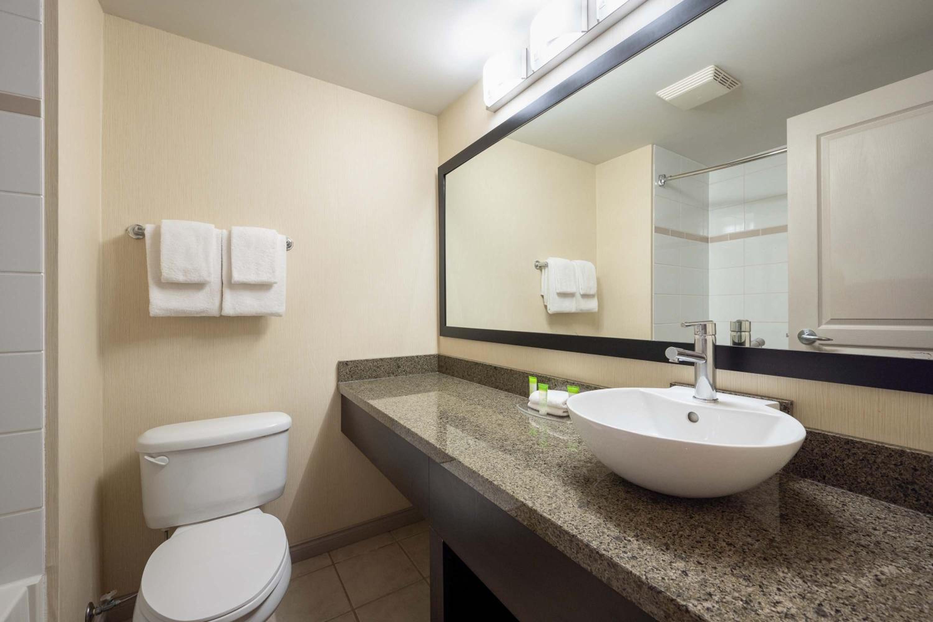 Standard Suite, 1 King Bed, Sofa Bed, Kitchenette - Photo 2