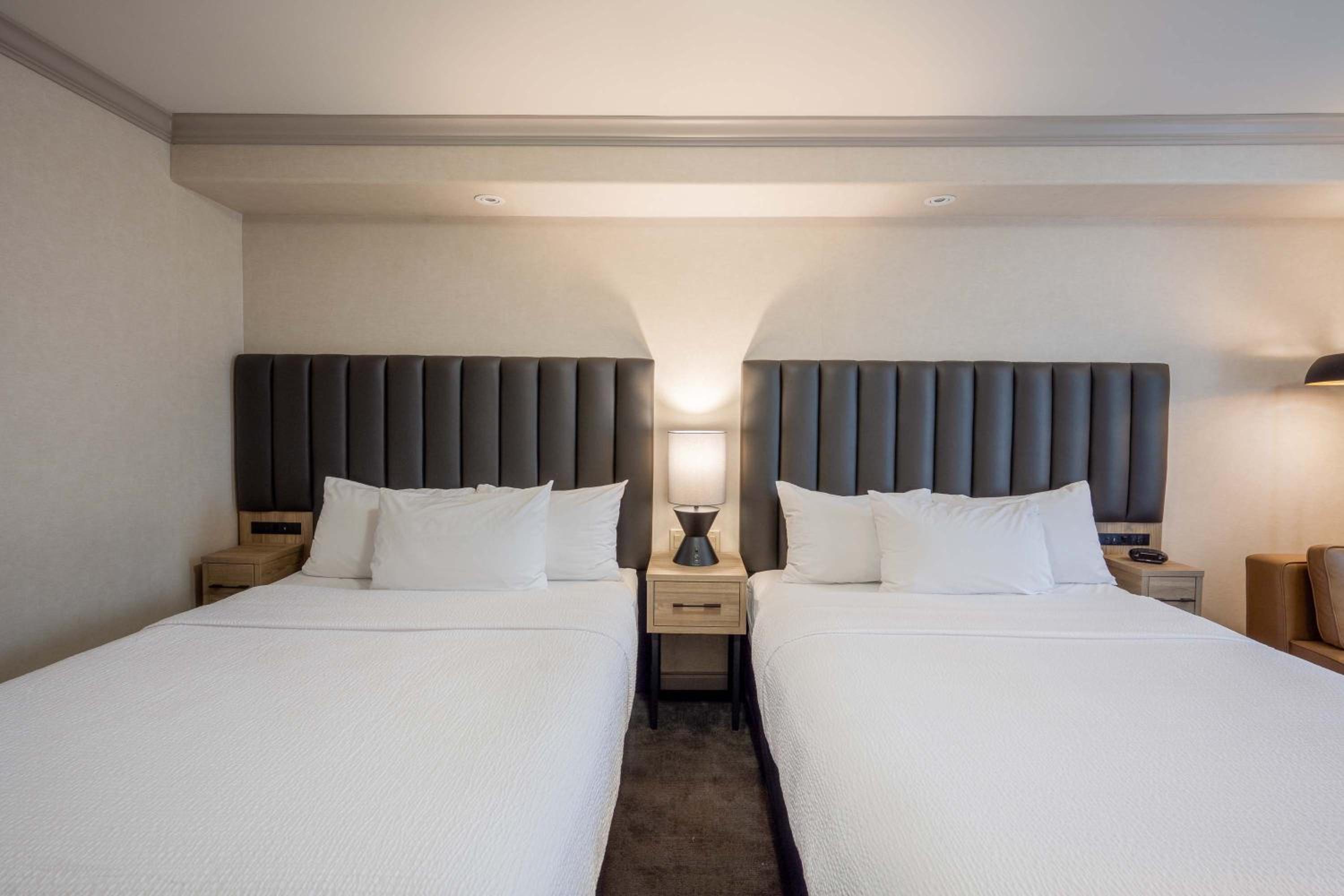 Standard Room, 2 Queen Beds photo 2
