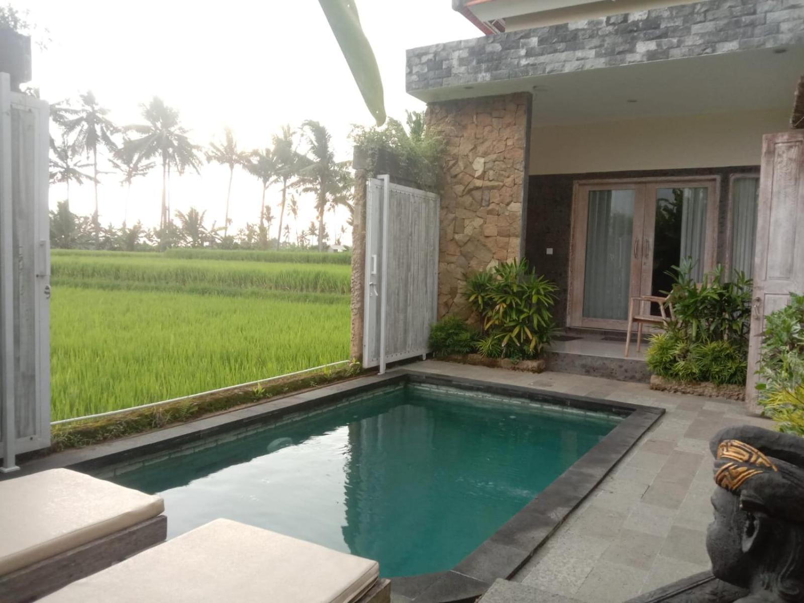One-Bedroom Villa - Photo 5
