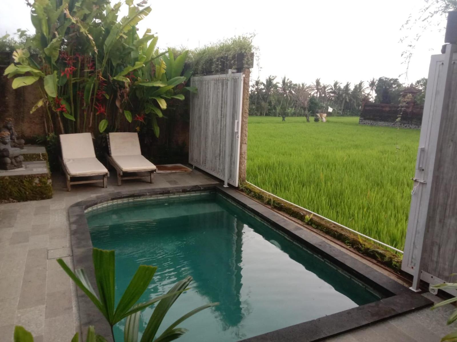 One-Bedroom Villa - Photo 8
