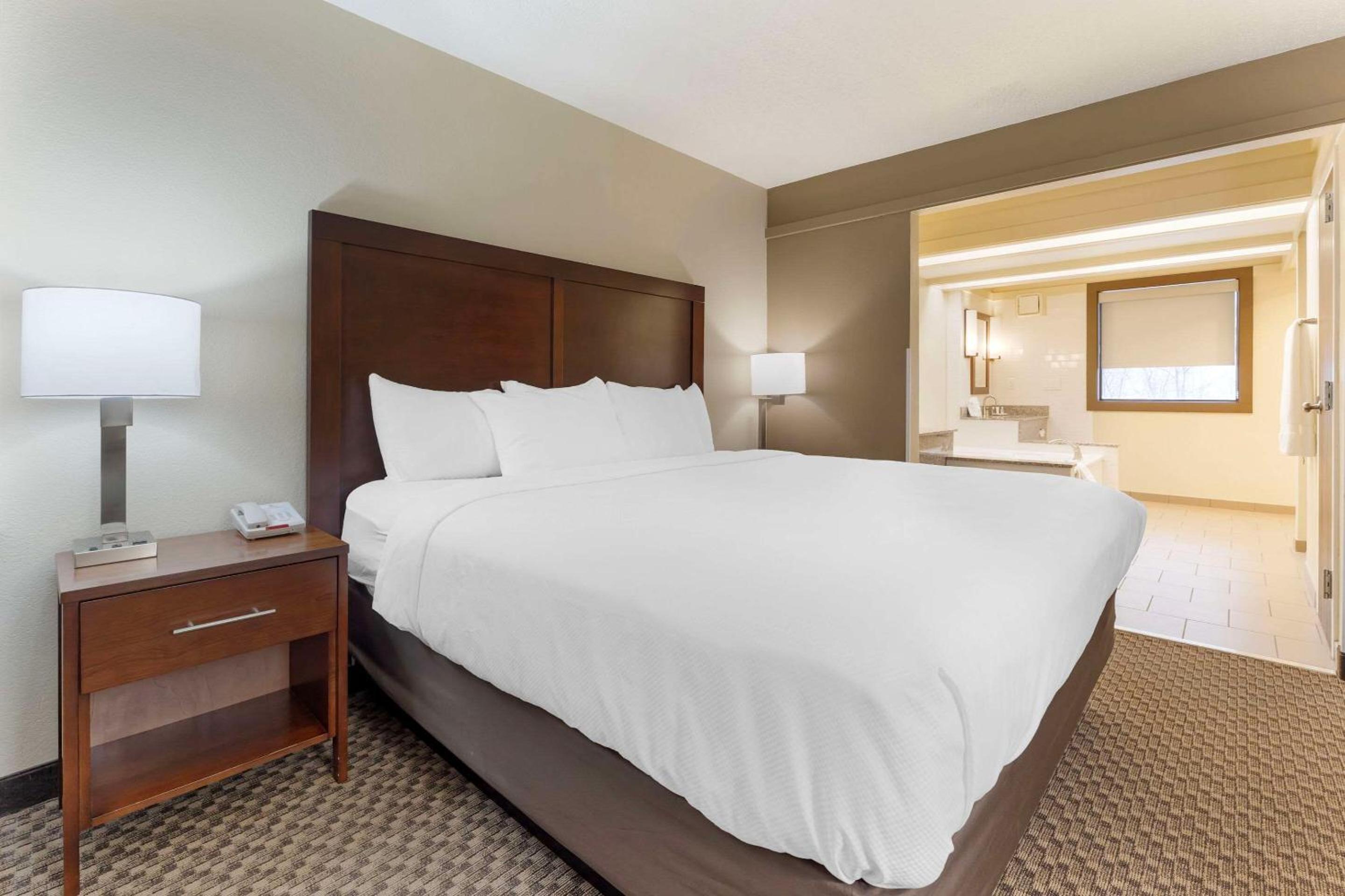 King Suite with Sofa Bed - Non-Smoking - Photo 4
