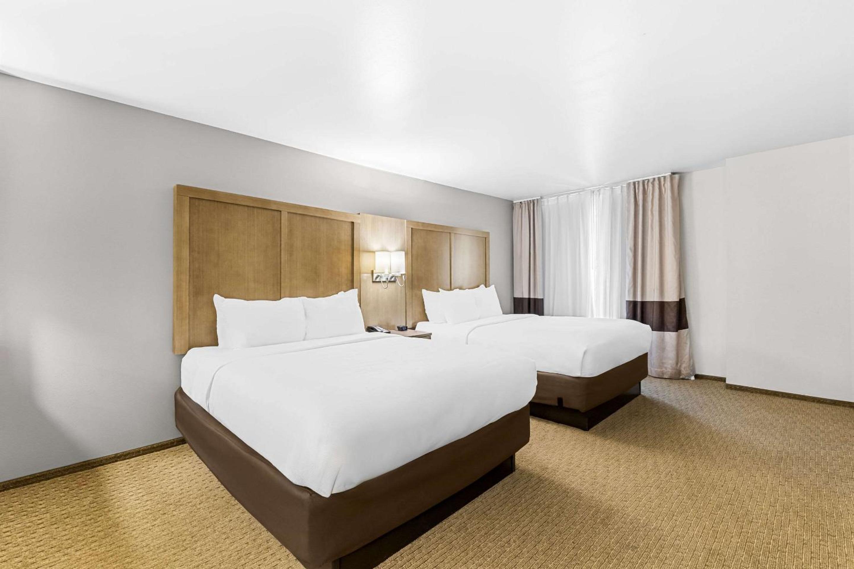 Superior Queen Suite with Sofa Bed - Non-Smoking photo 1