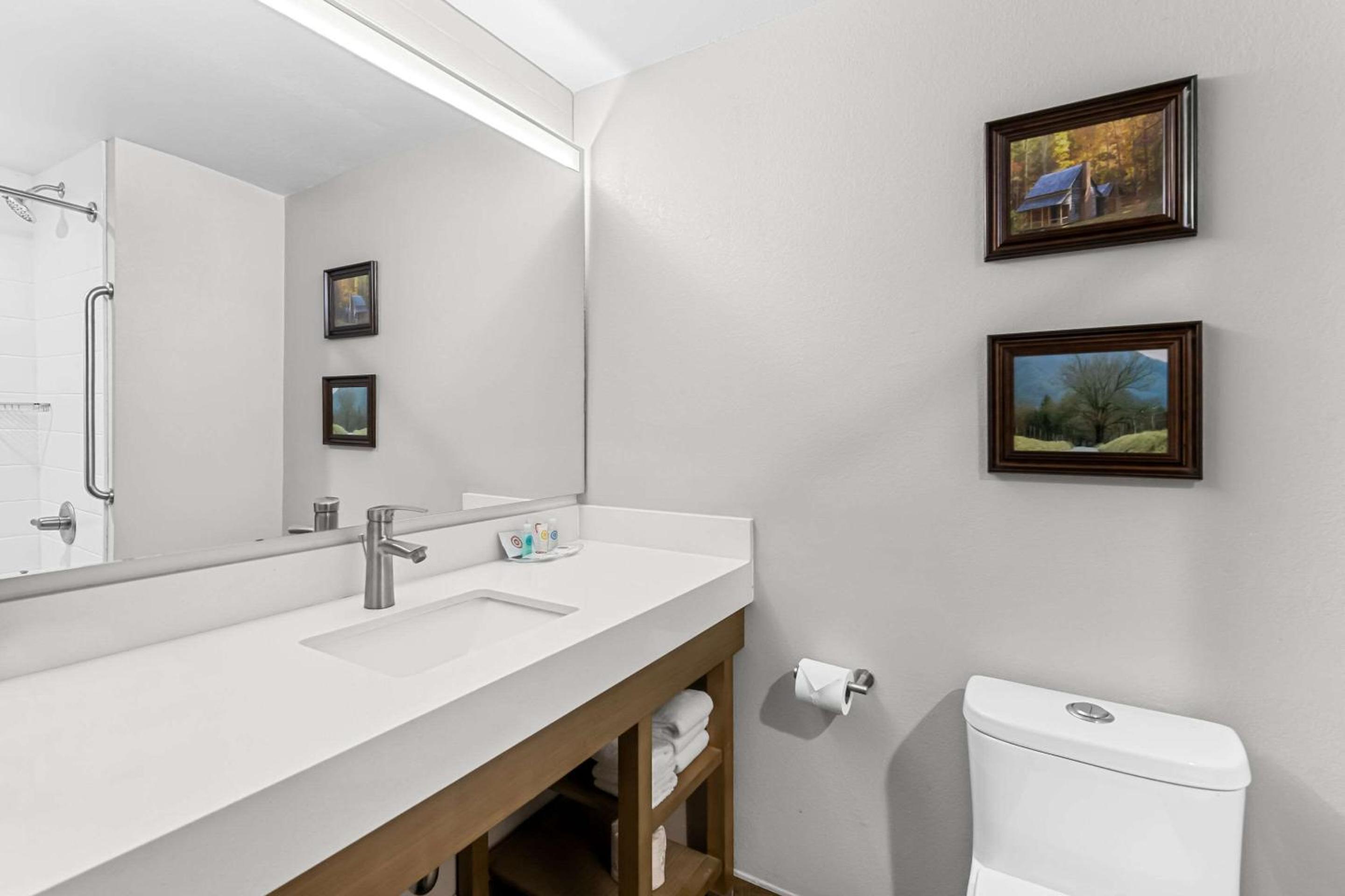 King Suite with Sofa Bed - Disability Access/Non-Smoking photo 3