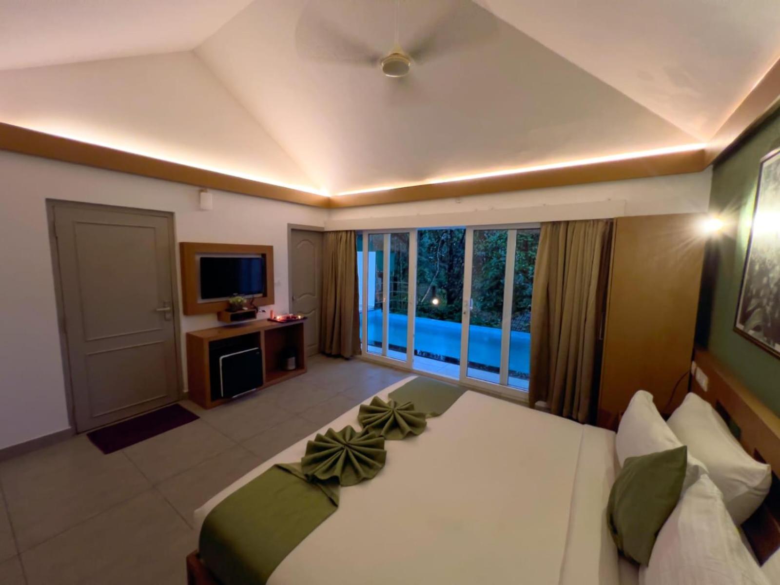 Deluxe Villa photo 3