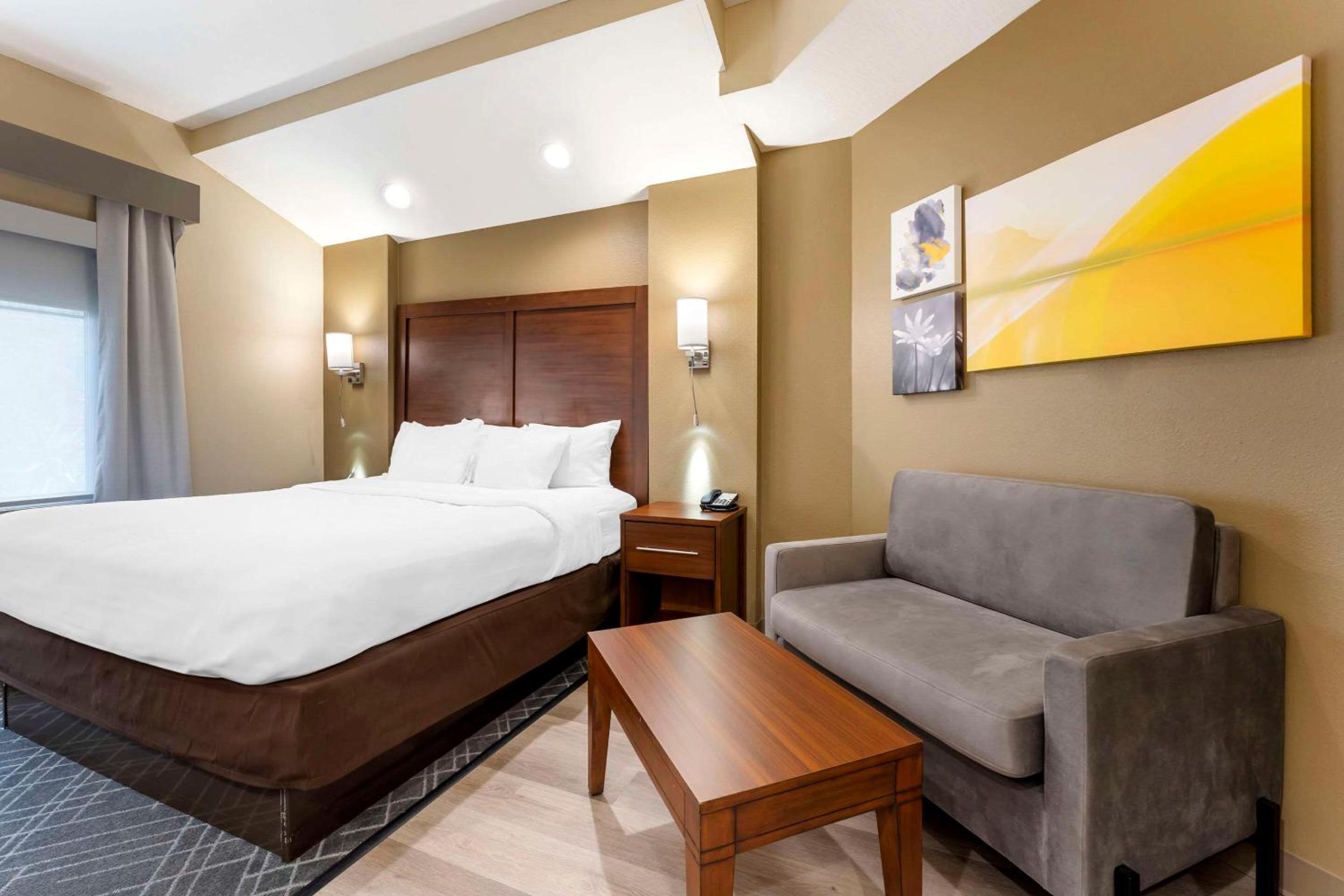 Standard King Suite - Non-Smoking - Photo 1